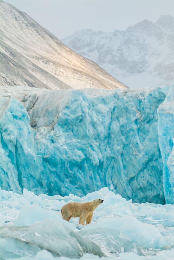 Discover Ross Ice Shelf