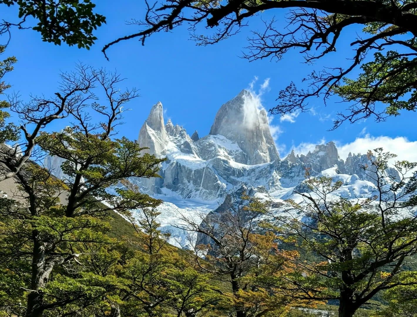 Explore Los Glaciares National Park - A UNESCO World Heritage Site in Patagonia