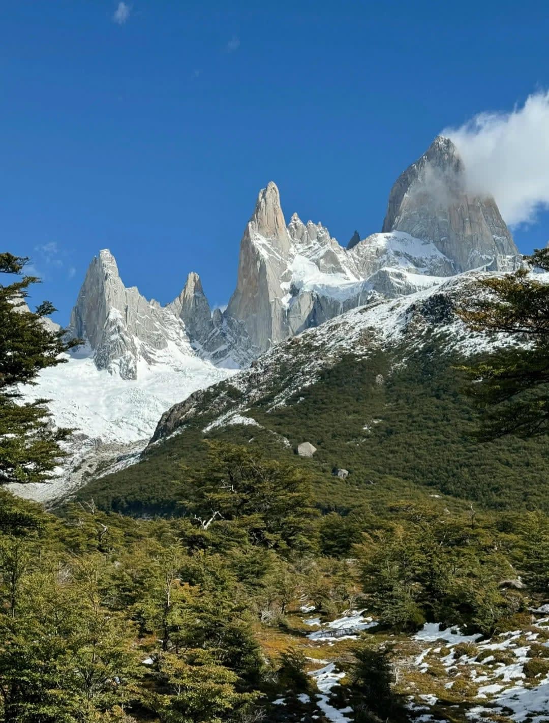 Explore Los Glaciares National Park - A UNESCO World Heritage Site in Patagonia