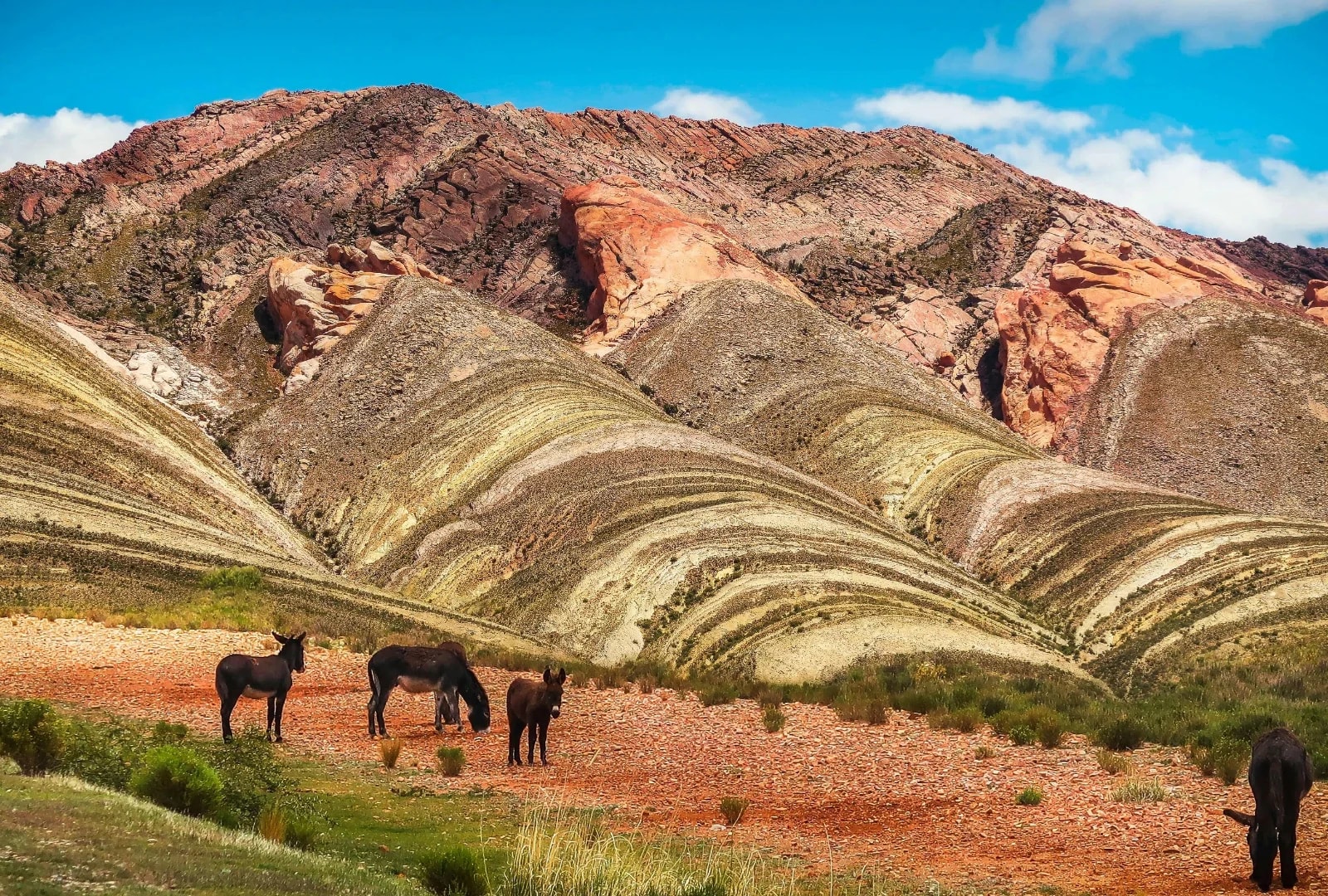 Explore Quebrada de Humahuaca - A Cultural and Natural Gem of Argentina