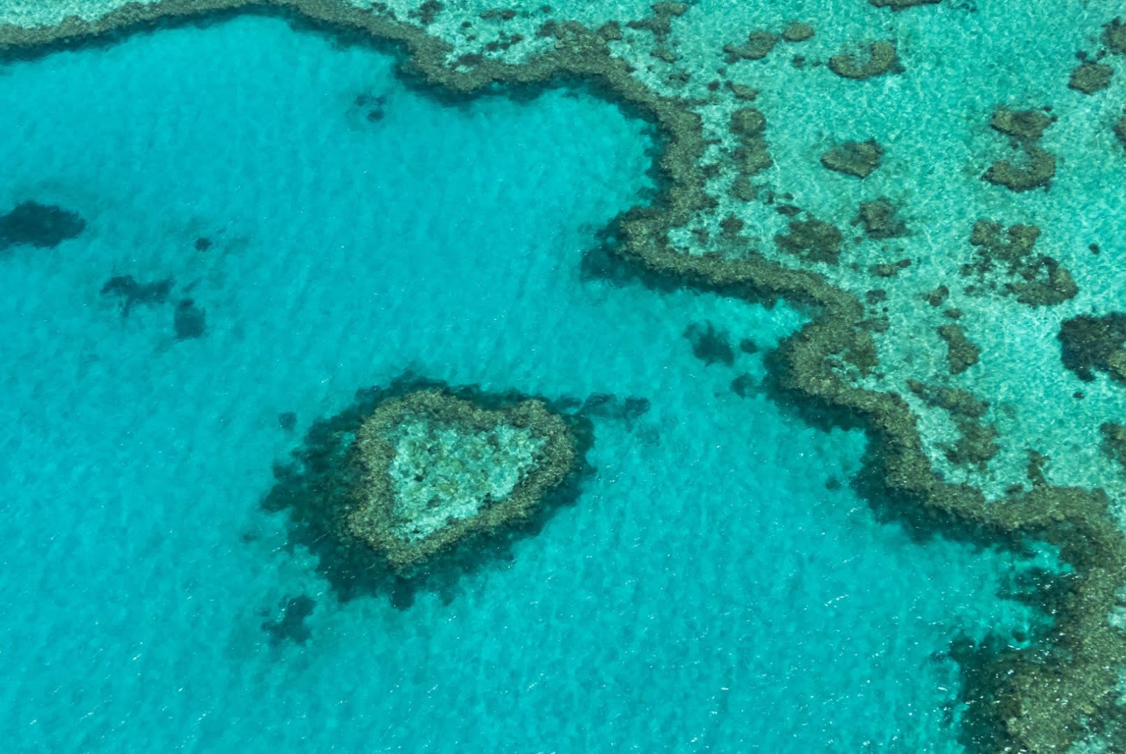 Discover Great Barrier Reef