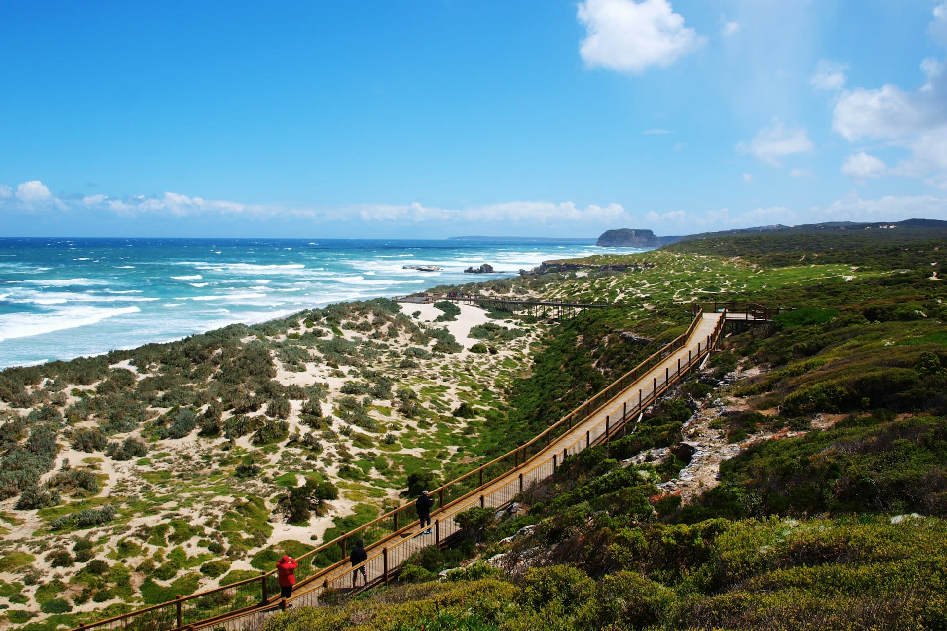 Admirals Arch natural rock formation with New Zealand fur seals on Kangaroo Island South Australia