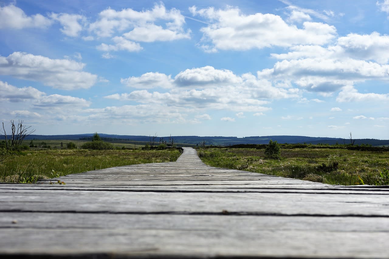 Wooden boardwalk crossing the flooded peat bog of the High Fens nature reserve in Belgium