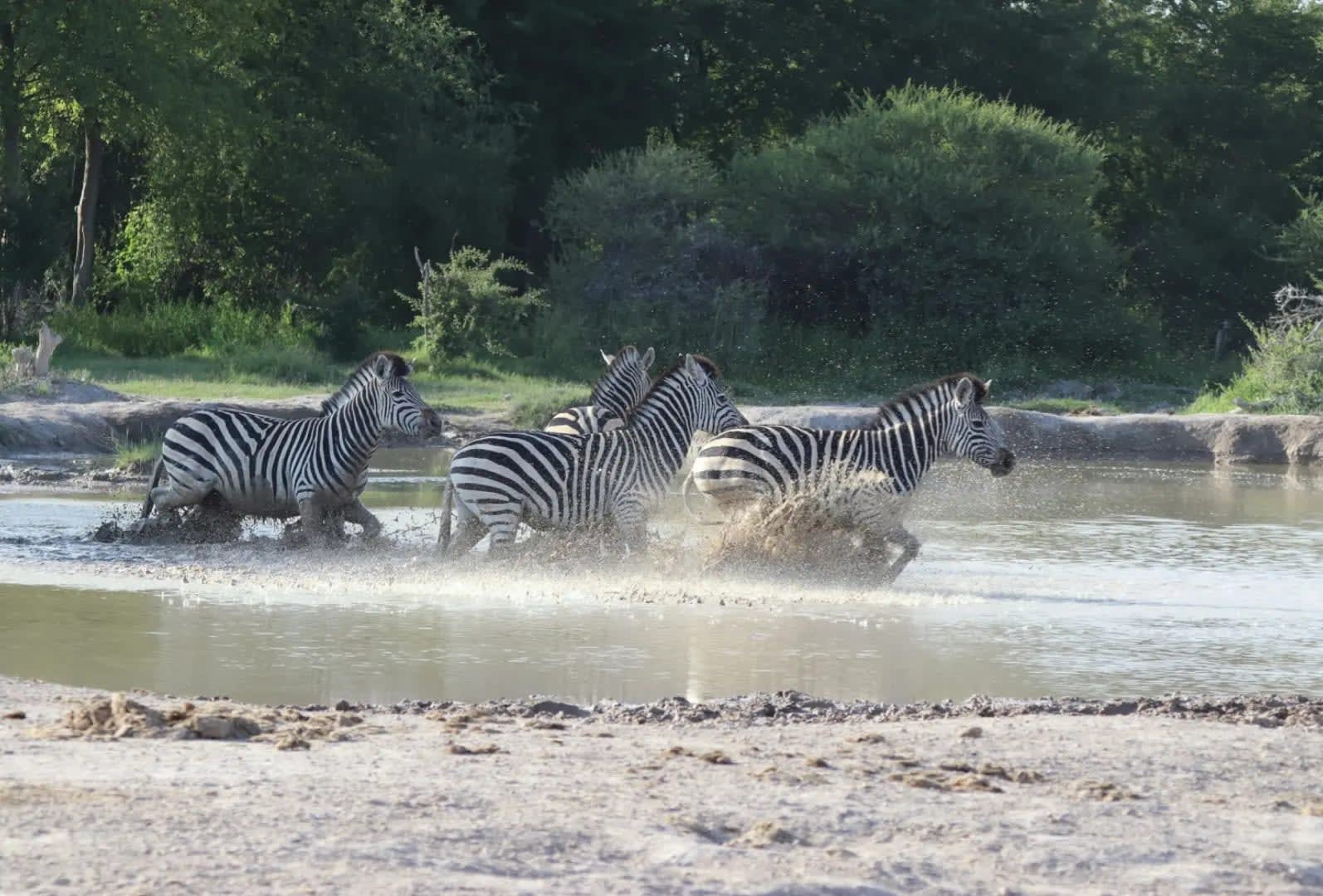 Makgadikgadi : A Guide to Botswana’s Stunning Salt Pans 