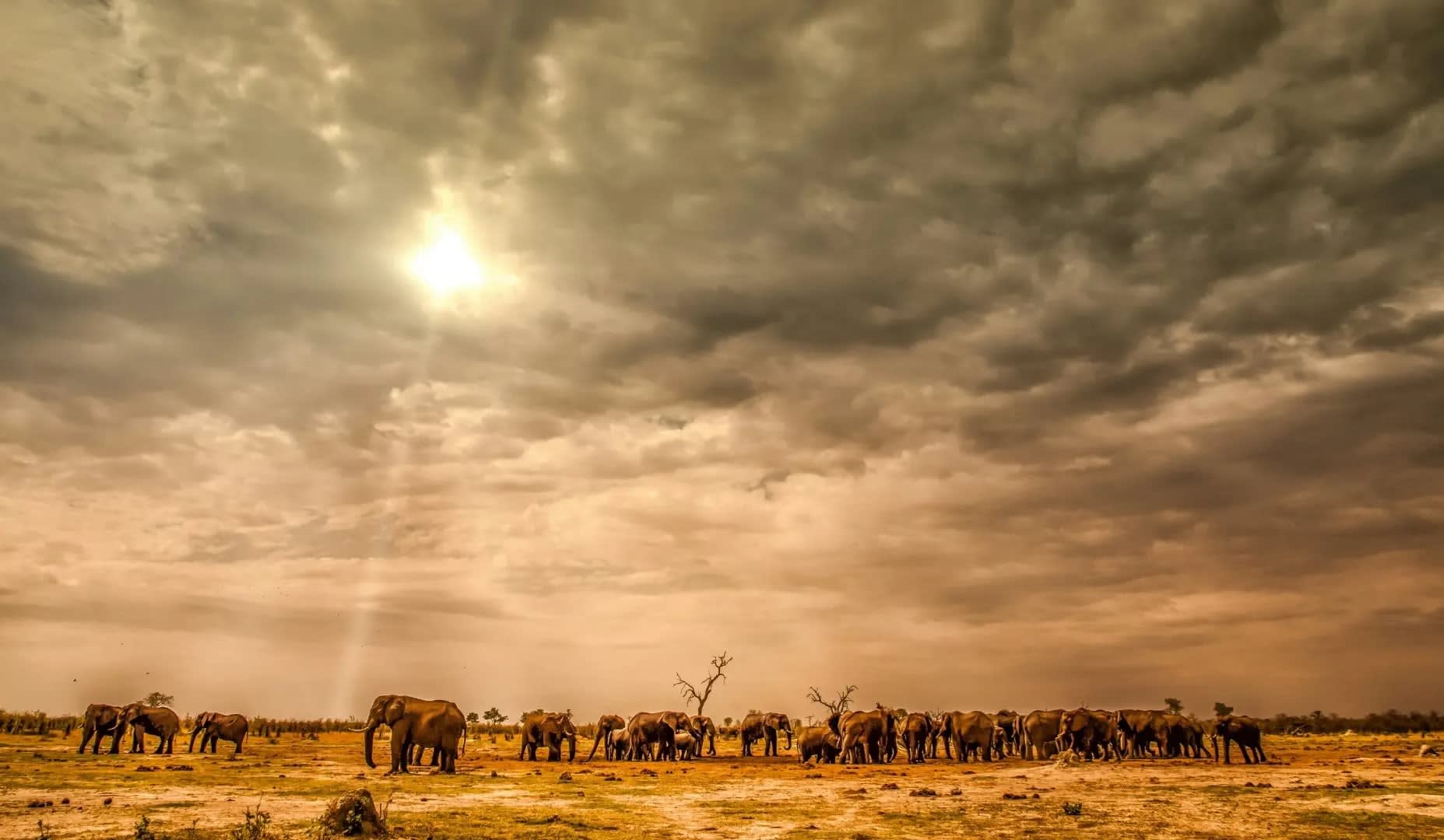 Makgadikgadi : A Guide to Botswana’s Stunning Salt Pans 