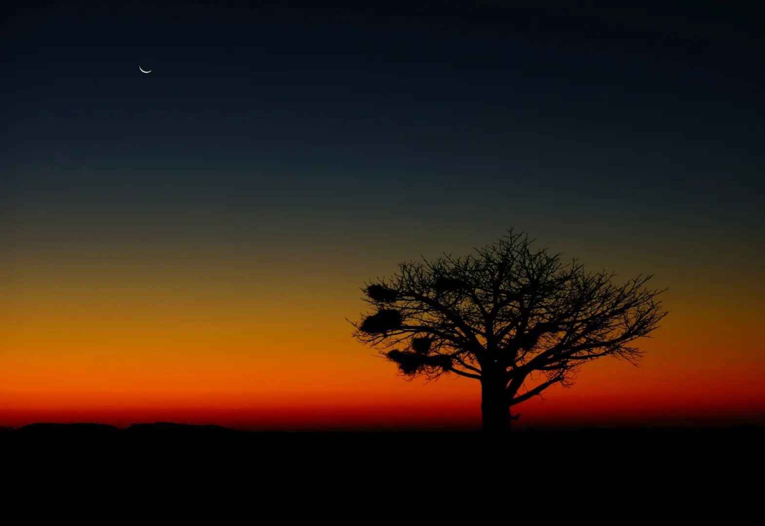 Makgadikgadi : A Guide to Botswana’s Stunning Salt Pans 