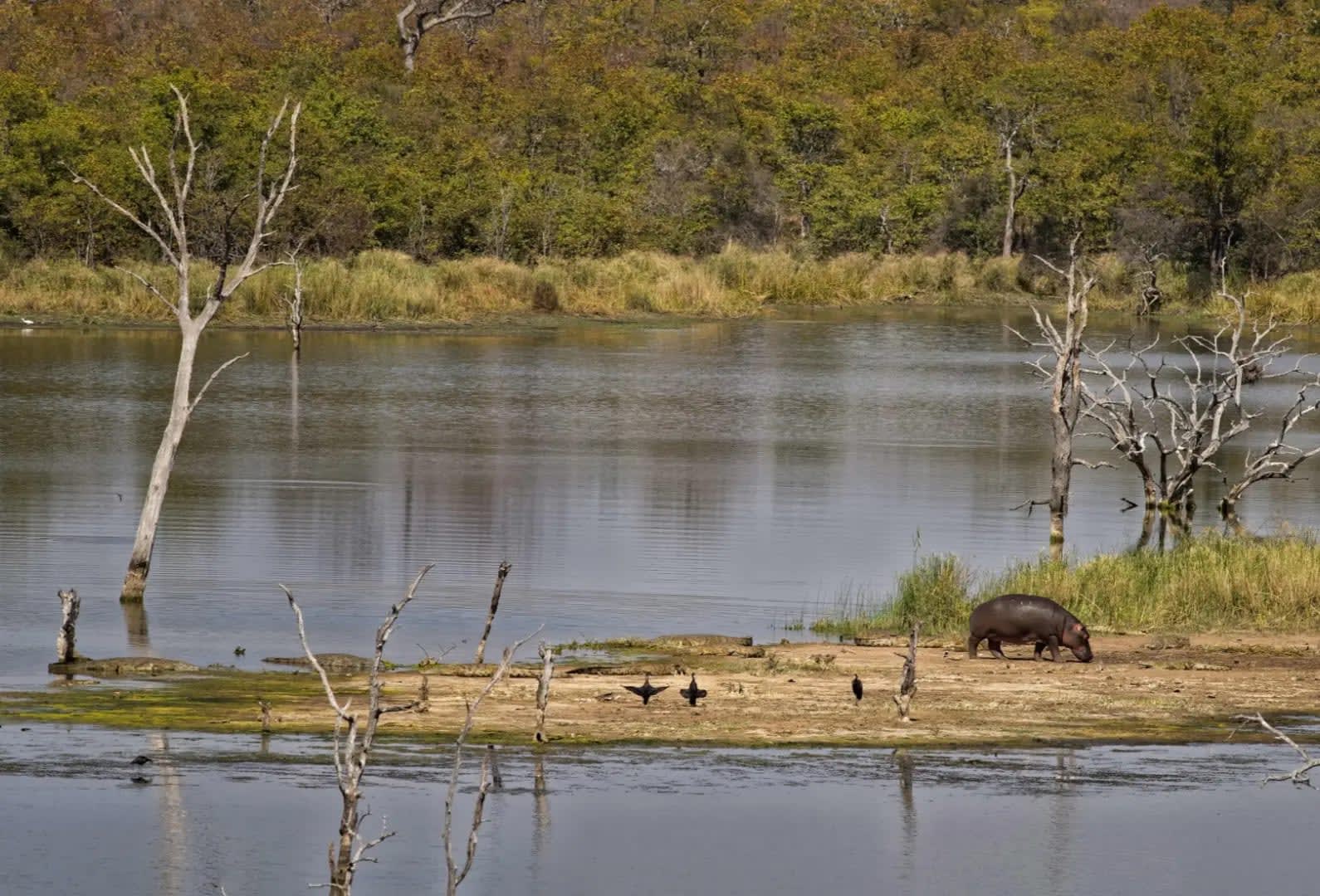 Discover the Okavango Delta 