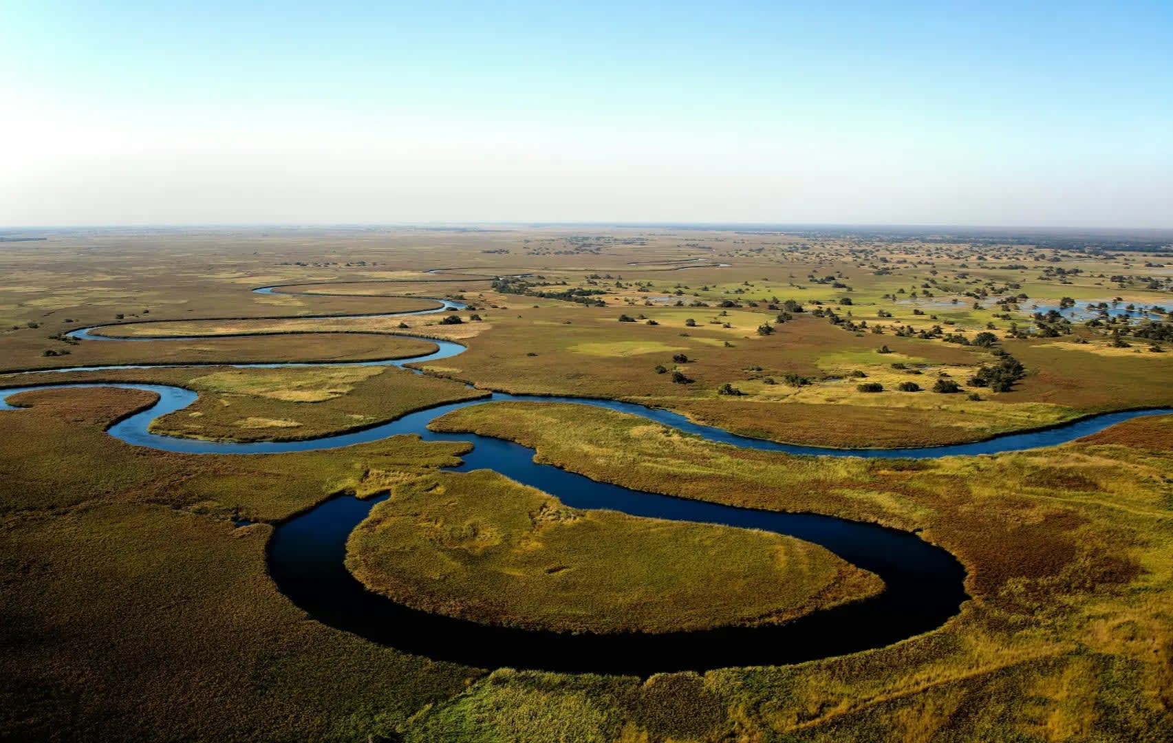 An elephant standing in a shallow pool near a small waterfall, with a typical tree of the Okavango Delta region in the background.