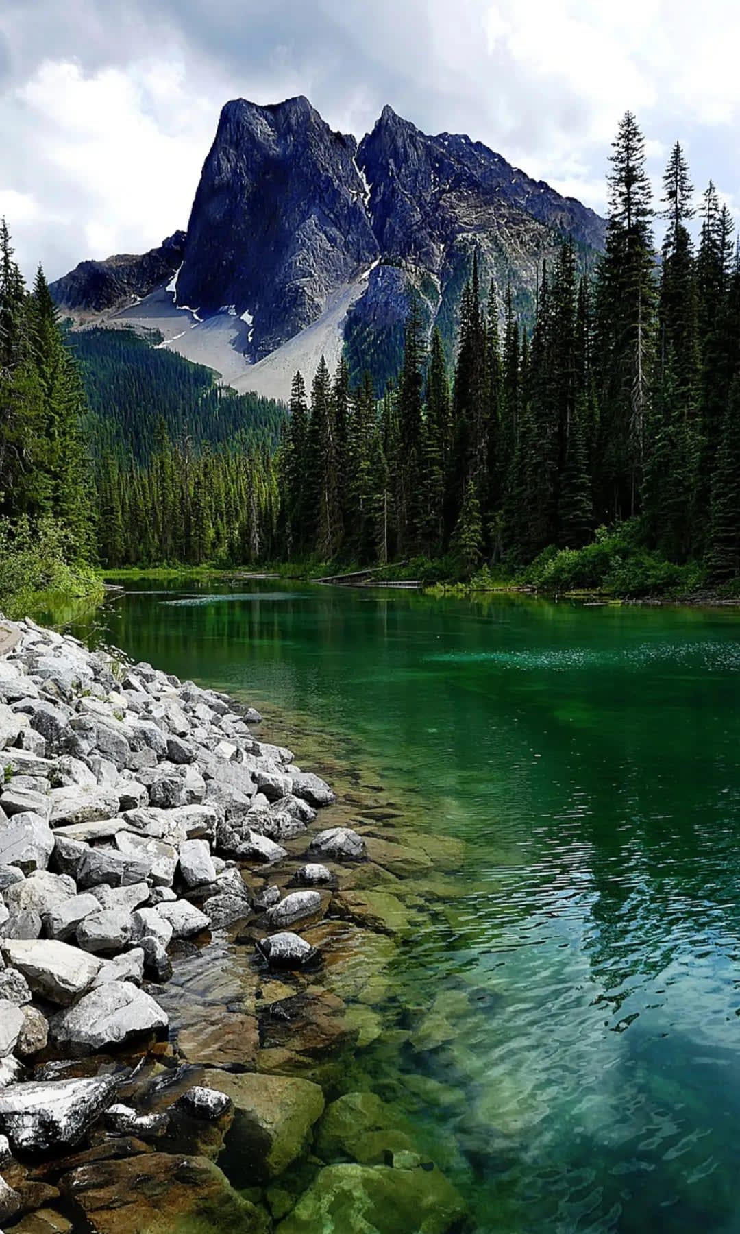 Cabin in the midst of trees on a mountain. Serra dos Órgãos
