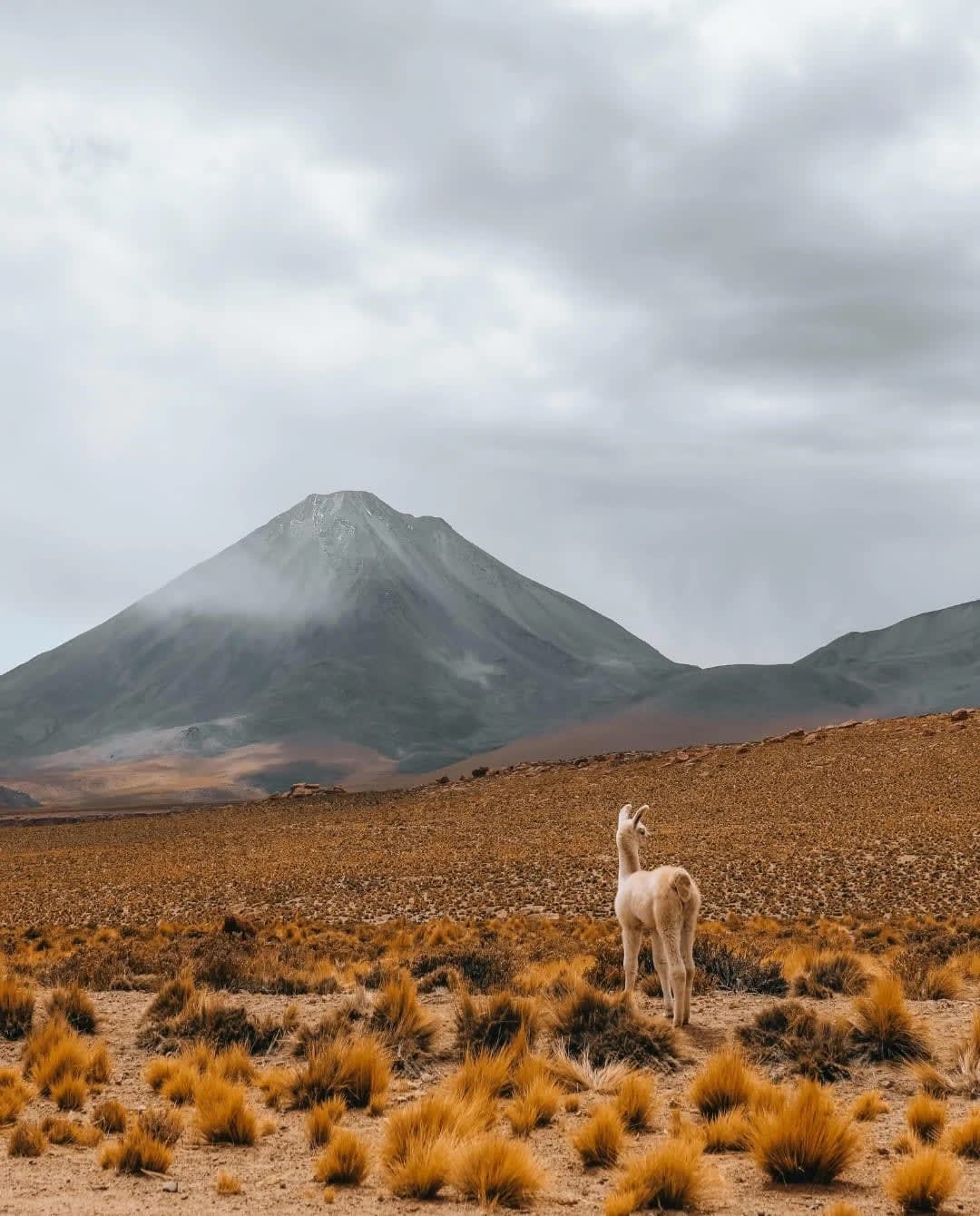 Atacama Desert: The Dryest Desert on Earth