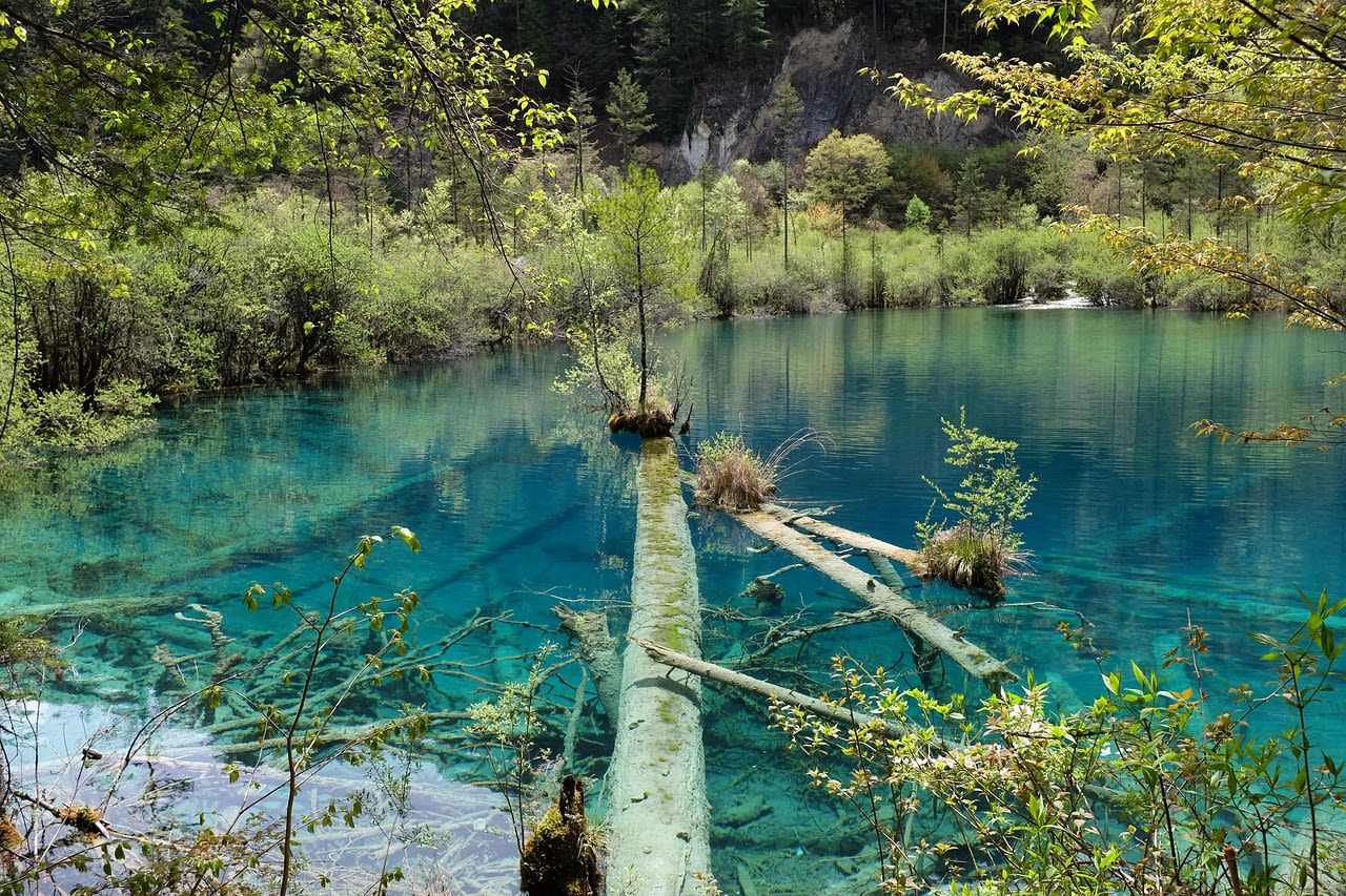 Calm lake among hills with trees, Jiuzhaigou