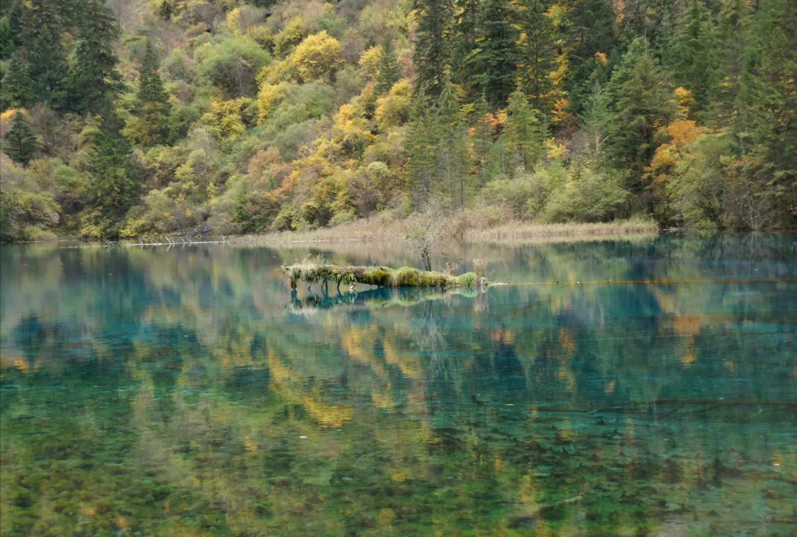 Lake in front of wooded mountains, Jiuzhaigou