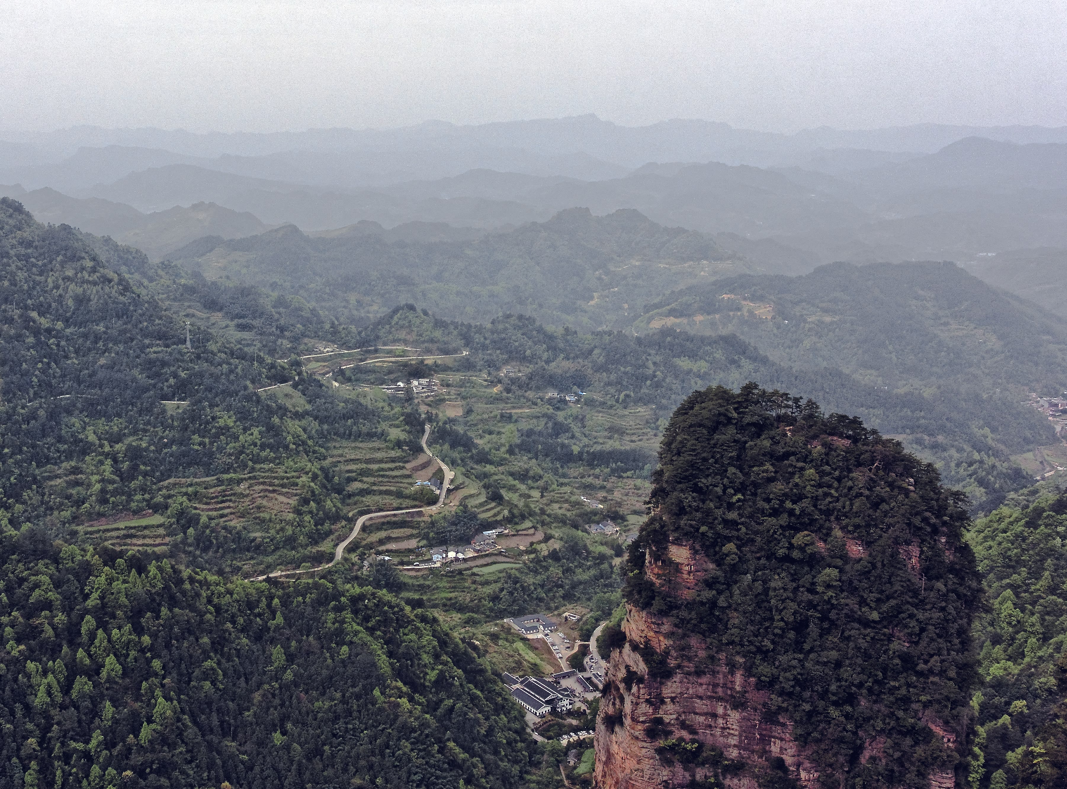 Ancient Wuyi Rock Tea plantation terraces on the lower slopes of Mount Wuyi in Fujian China