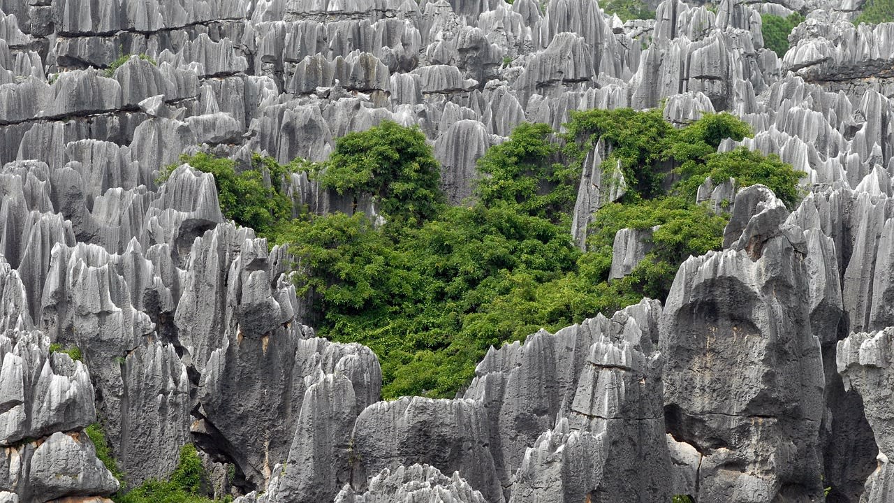 Rocky area with standing rocks, Shilin