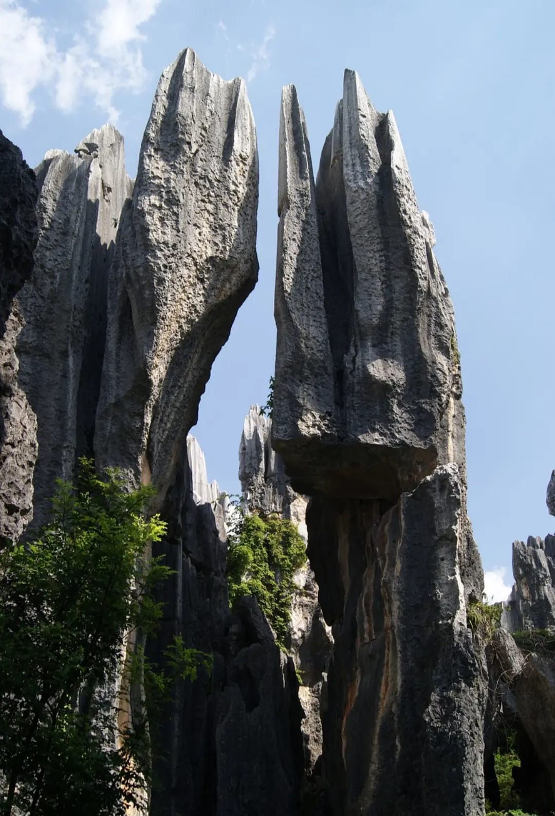 Rocky area with upright and smooth rocks