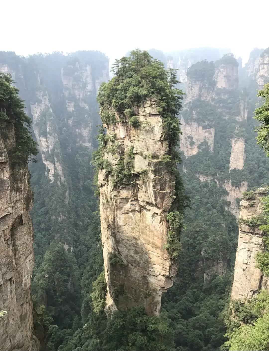 Rocks like tall towers with vegetation, Zhangjiajie