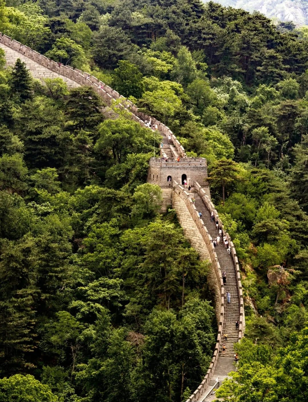 Hallway of the Great Wall in mountains with vegetation