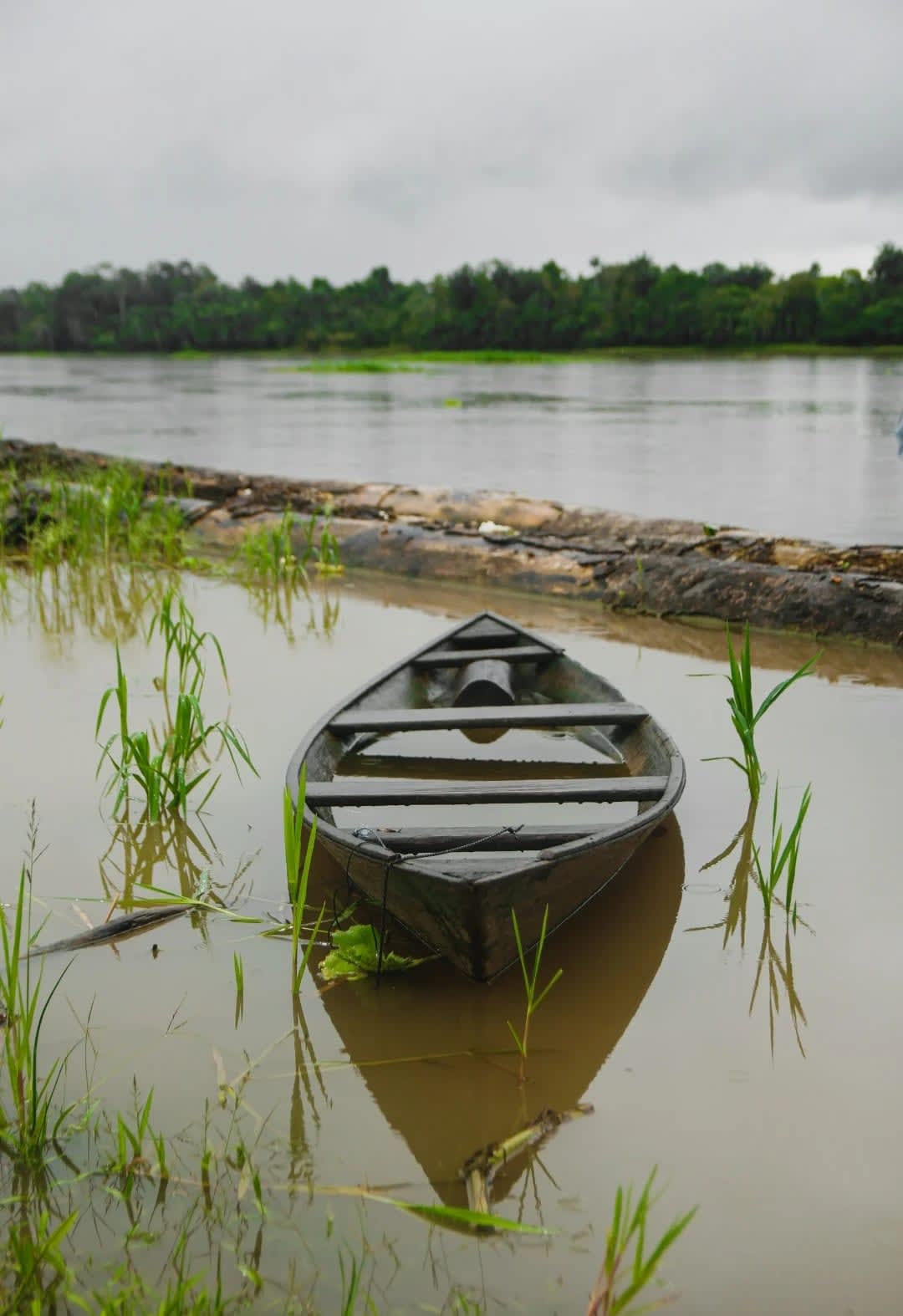 Explore the Colombian Amazon - The Heart of Biodiversity