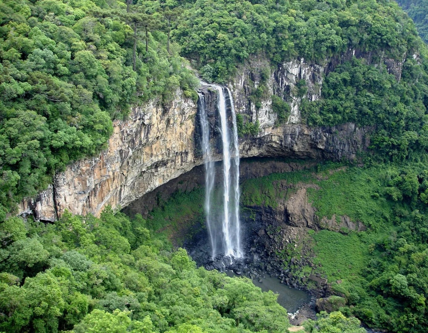 Explore the Colombian Amazon - The Heart of Biodiversity