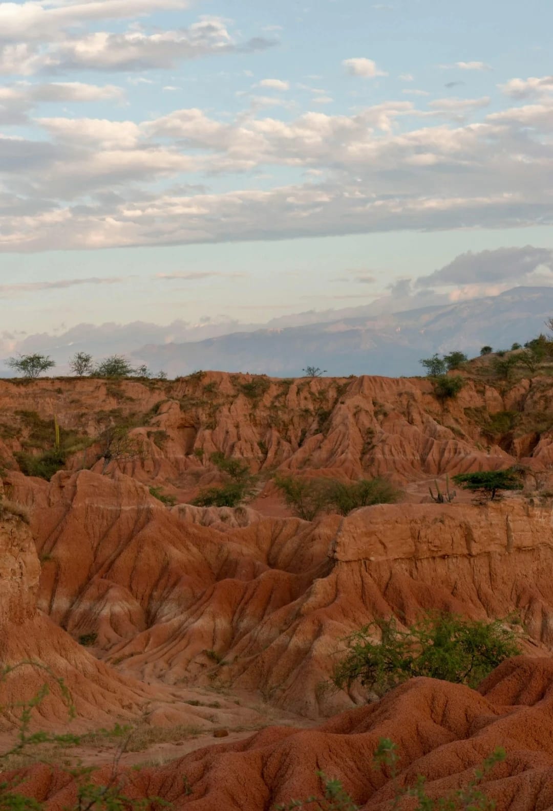 Explore Tatacoa Desert - Colombia’s Otherworldly Landscape