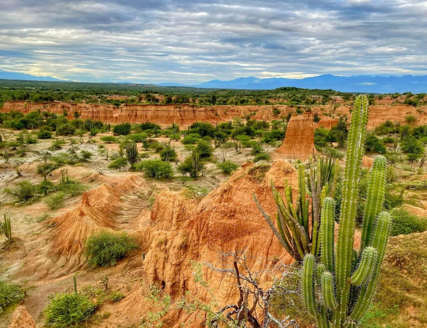 Explore Tatacoa Desert - Colombia’s Otherworldly Landscape