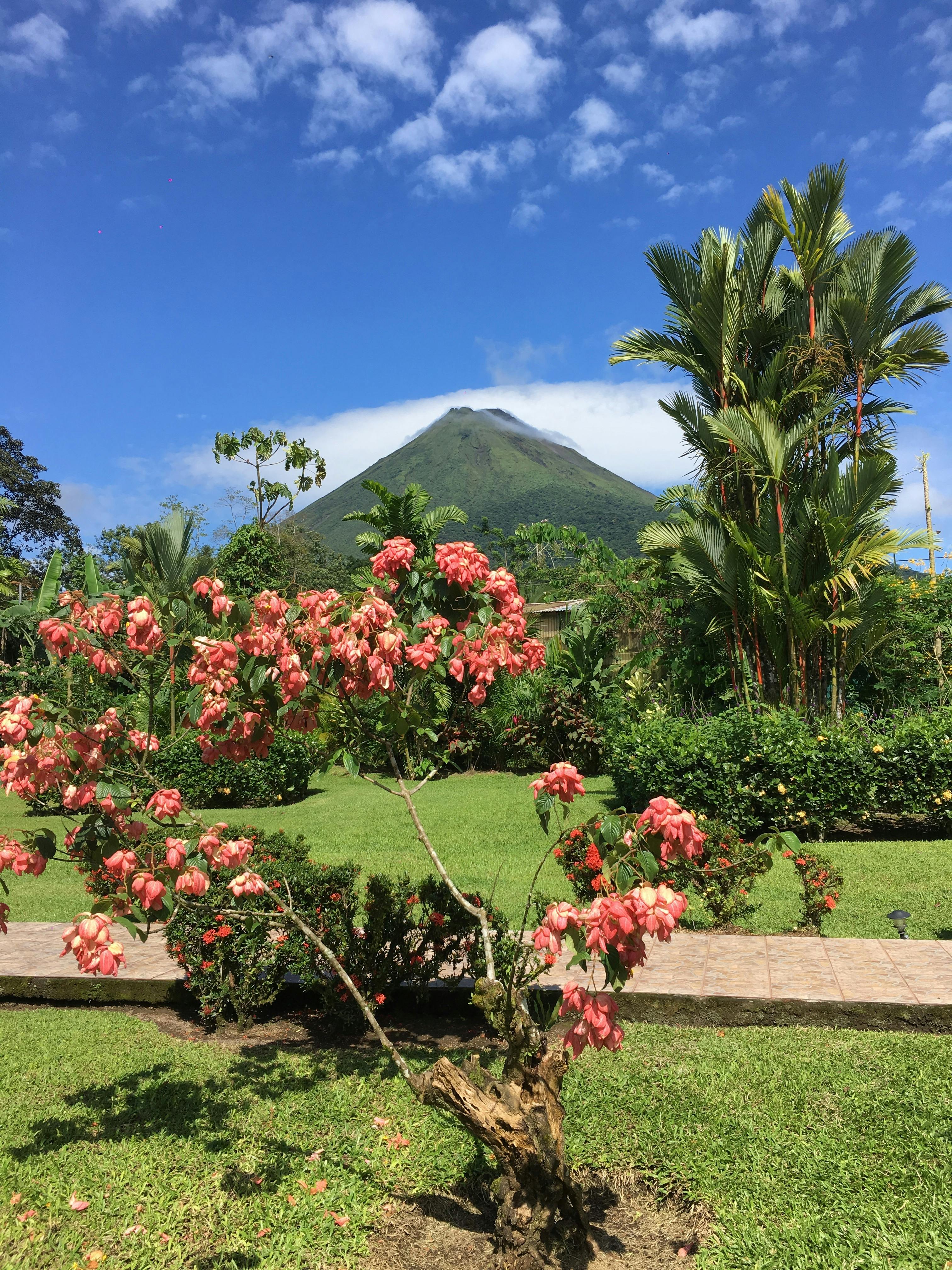 Discover Arenal Volcano
