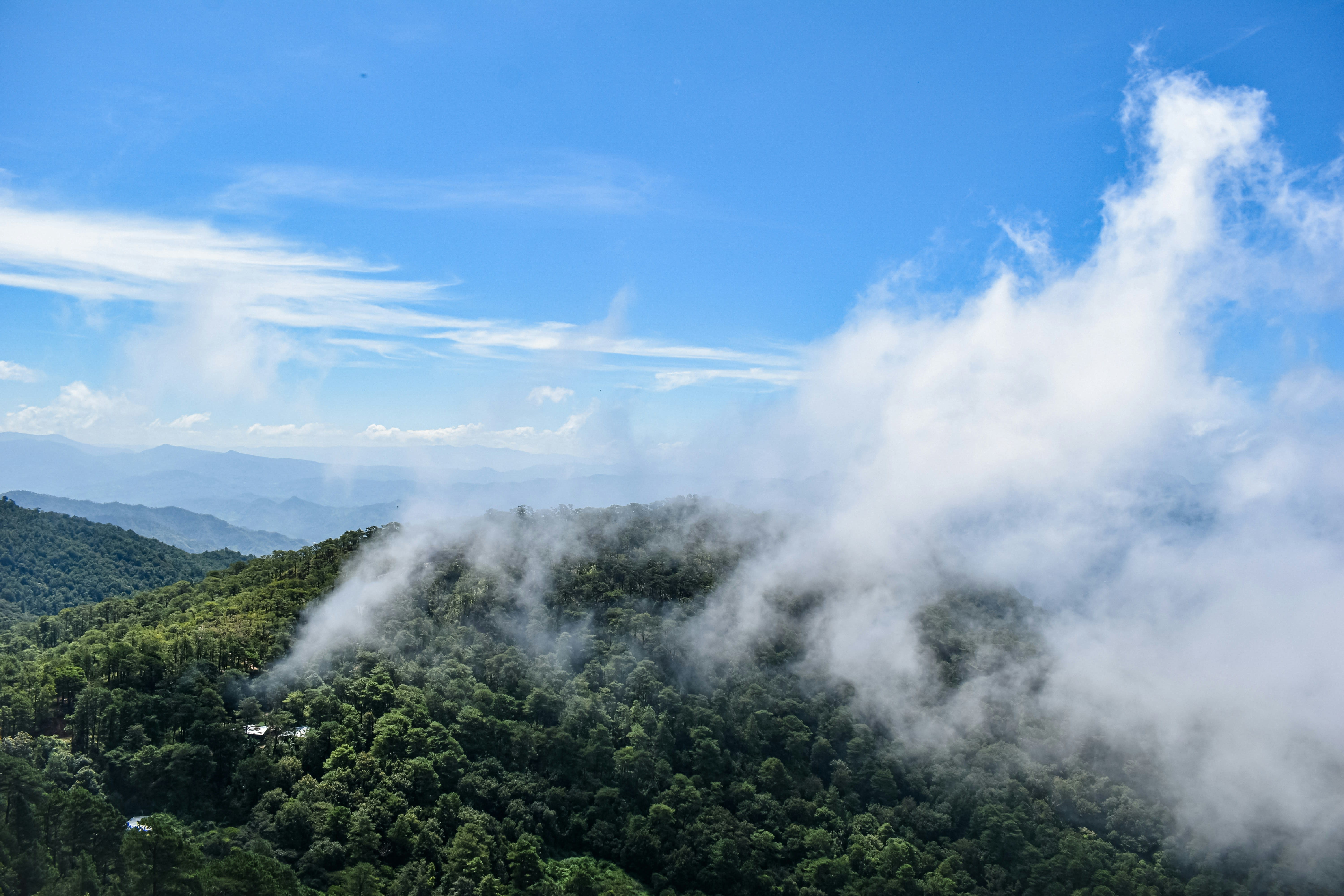Monteverde Cloud Forest
