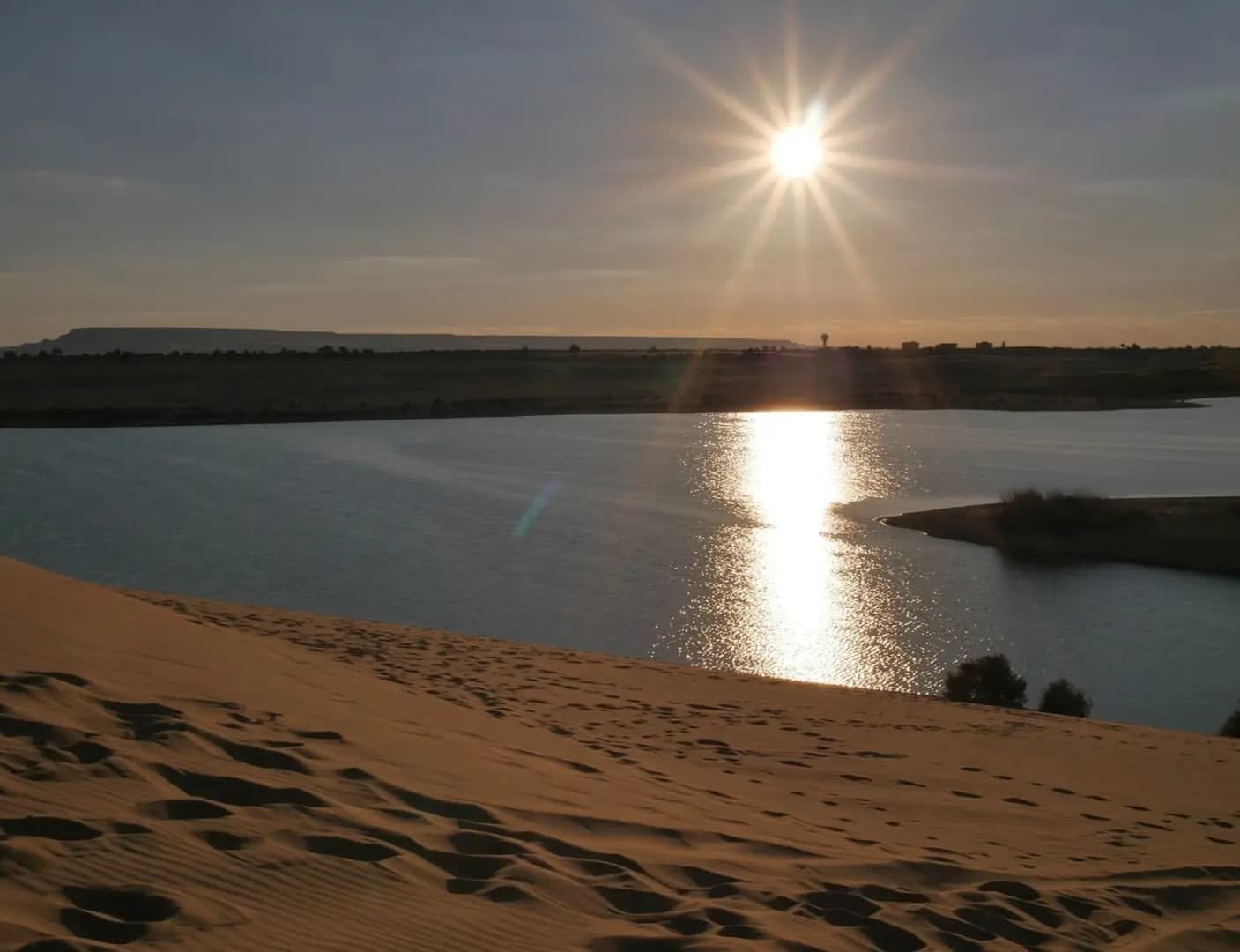Lake with vegetation in the desert, Buhayrat Qudra