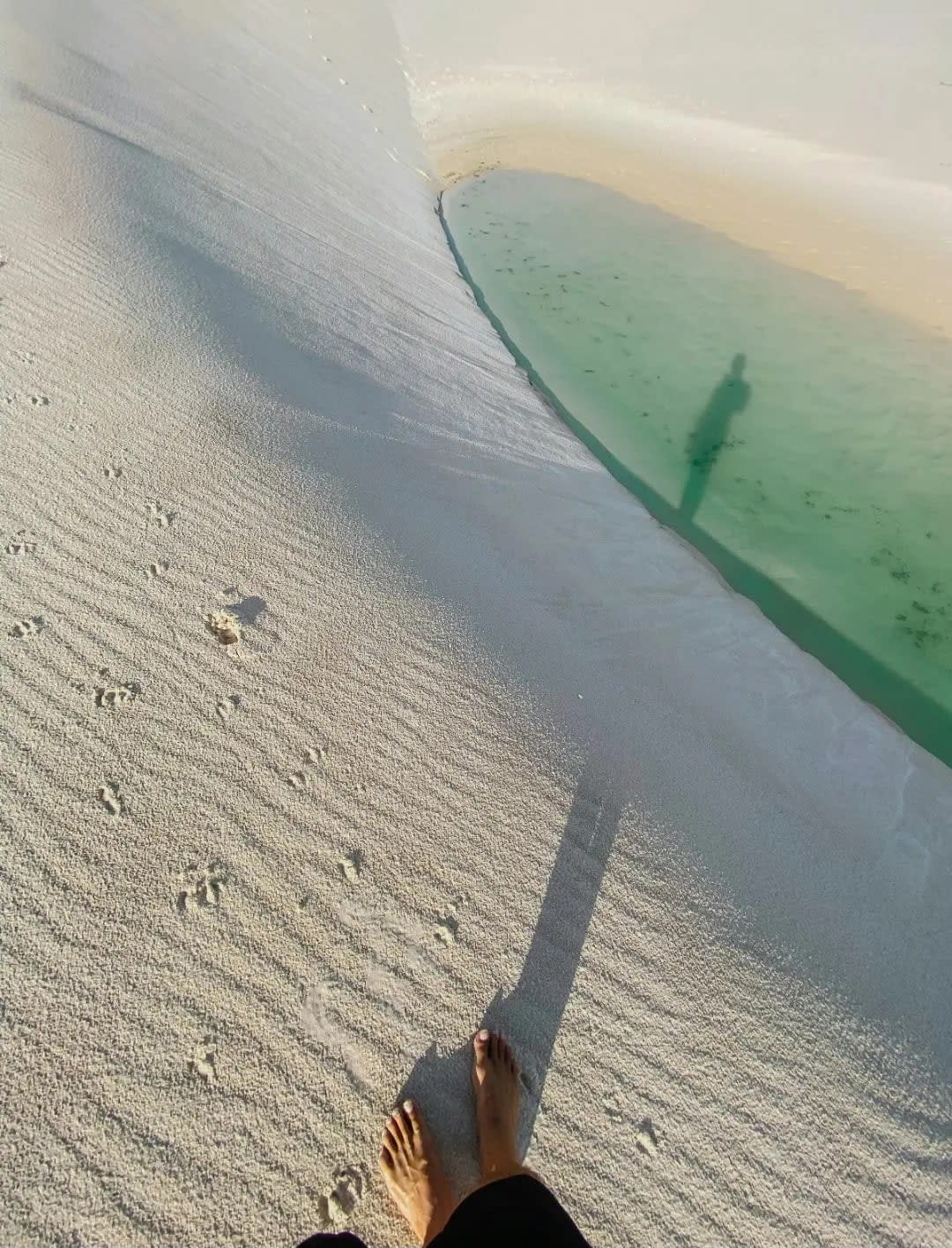 Desert with a puddle of water in the foreground, Buhayrat Qudra