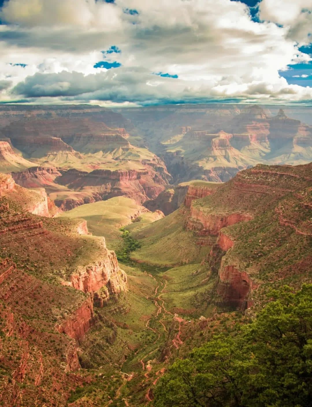 Grand Canyon landscape with vibrant vegetation amidst the dramatic rock formations