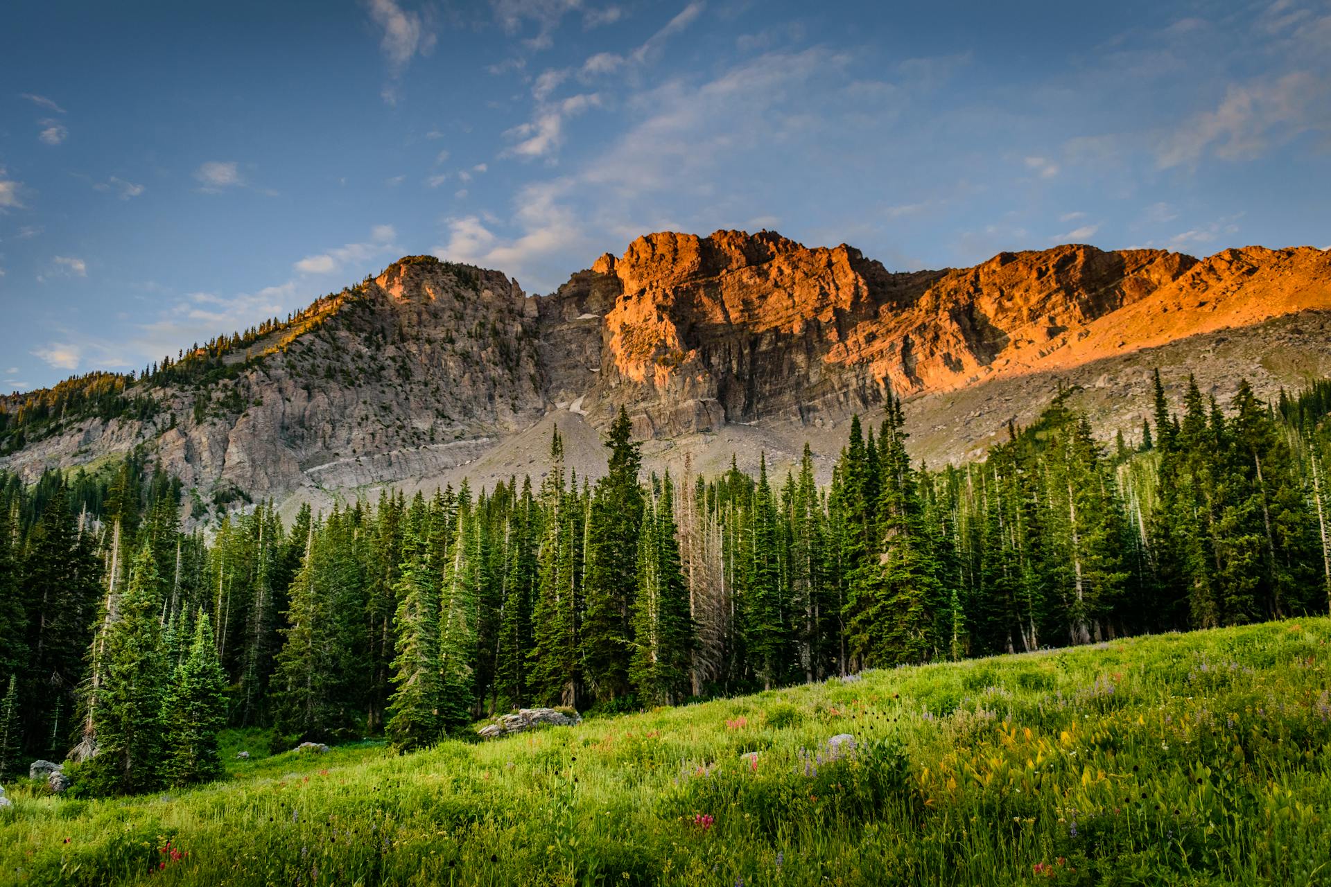 Rocky Mountain National Park, best views from above in the United States people looking mountains and forest