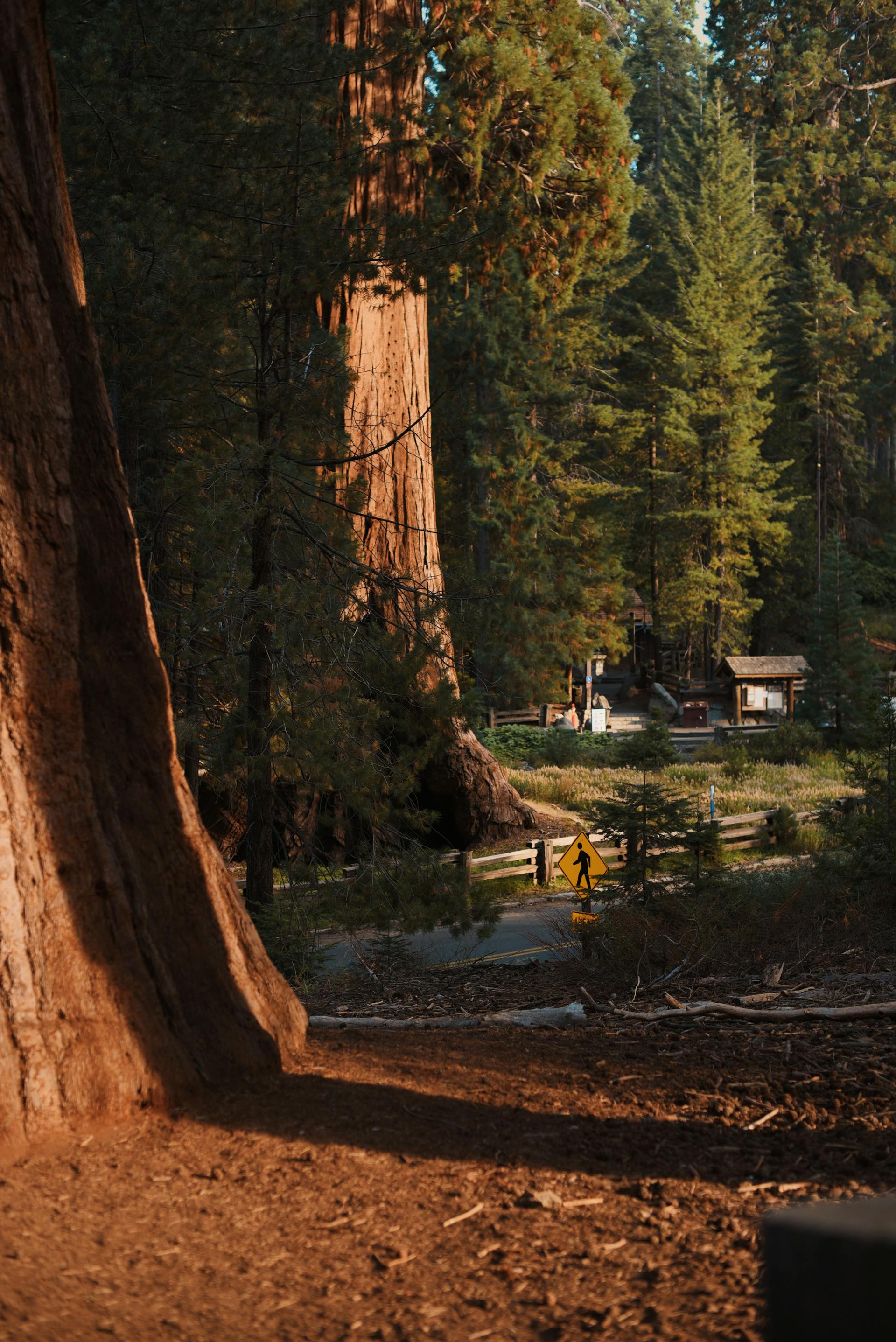 Sequoia and Kings Canyon Nationa Parks one of the best natural places