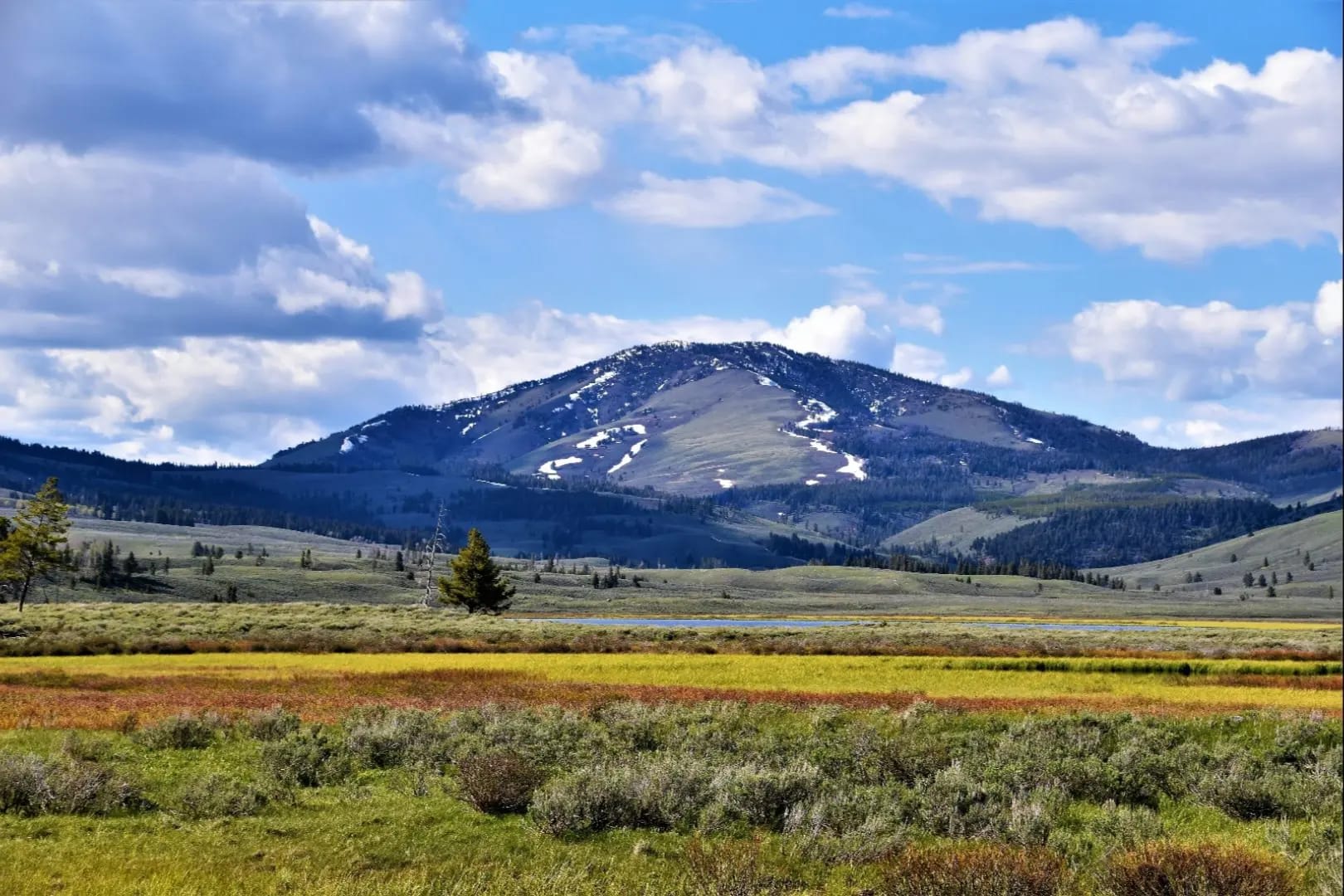 Yellowstone-National-Park, Calm lake with mountains on the left and a forest on the right, reflecting a serene landscape
