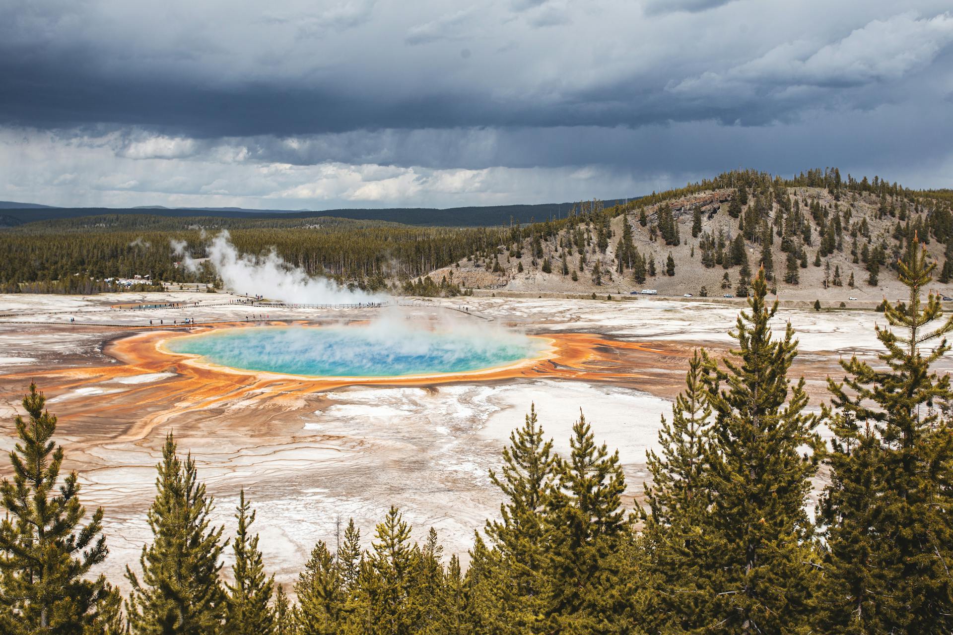 Misty lake surrounded by lush forest in Yellowstone National Park