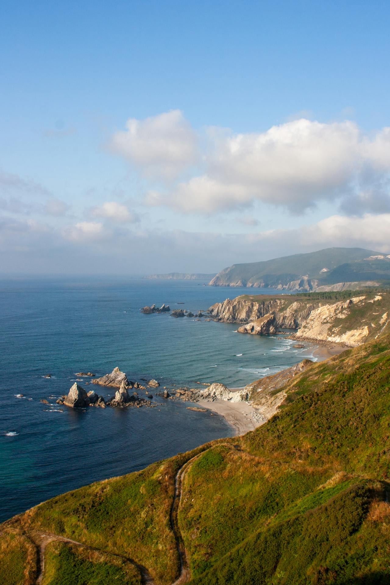 Yellow-legged gulls nesting on the granite cliffs of the Cíes Islands with the Atlantic Ocean behind