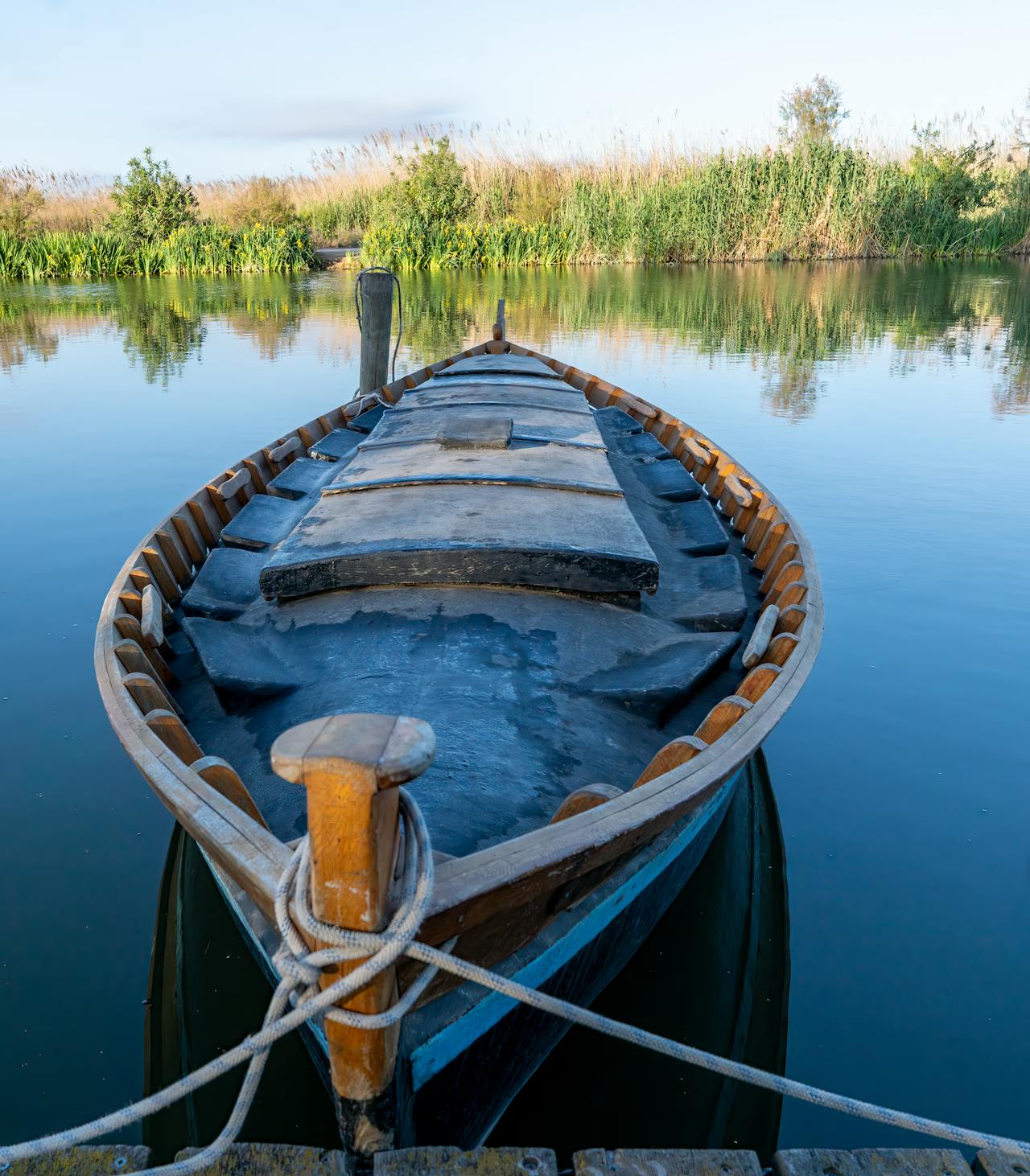 Rice fields in flood at the Ebro Delta with herons fishing in the shallow water at dawn
