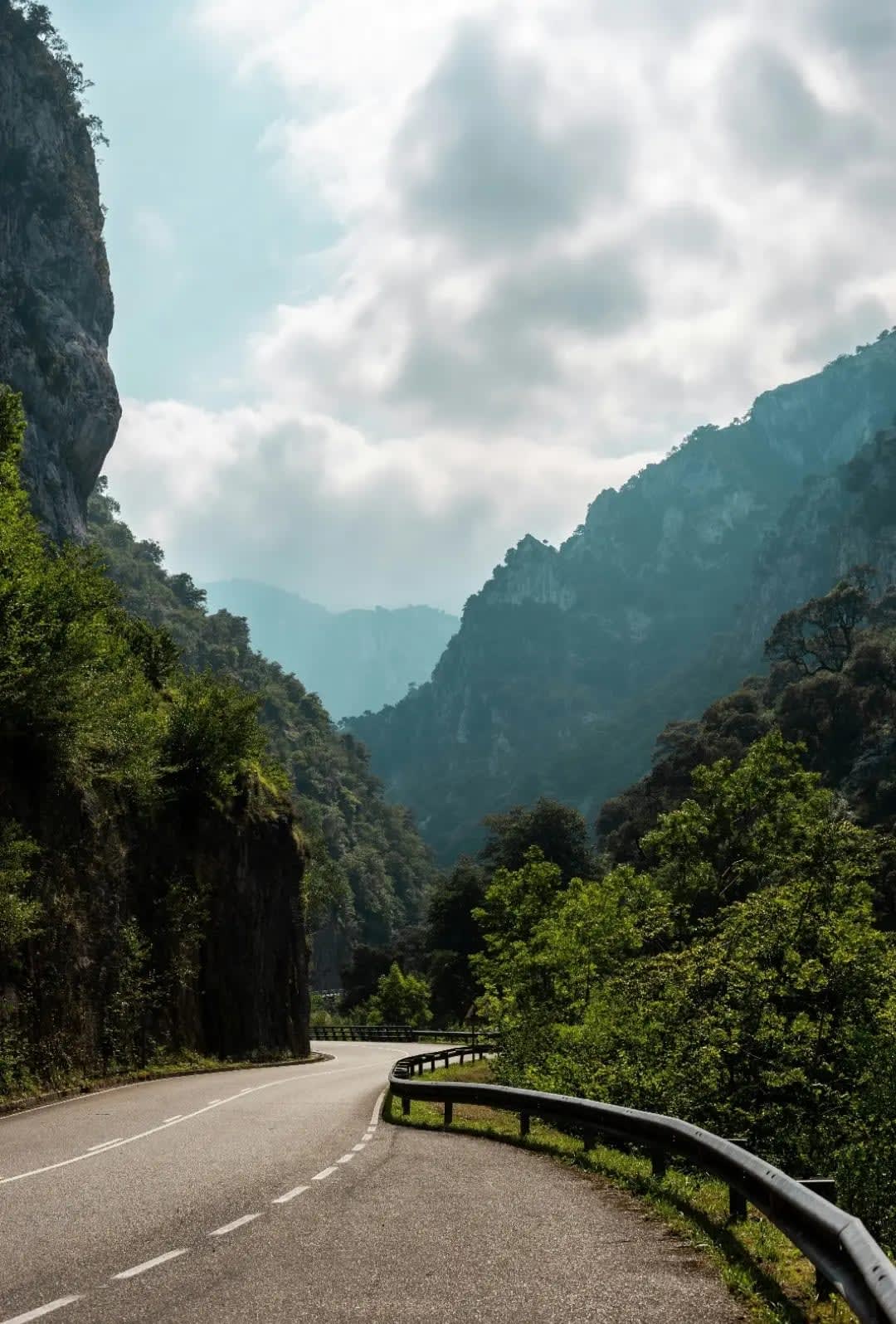 pathway through trees with forest surrounding it, Picos de Europa