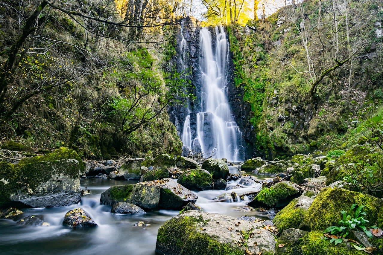 Water cascading down surrounded by tropical foliage
