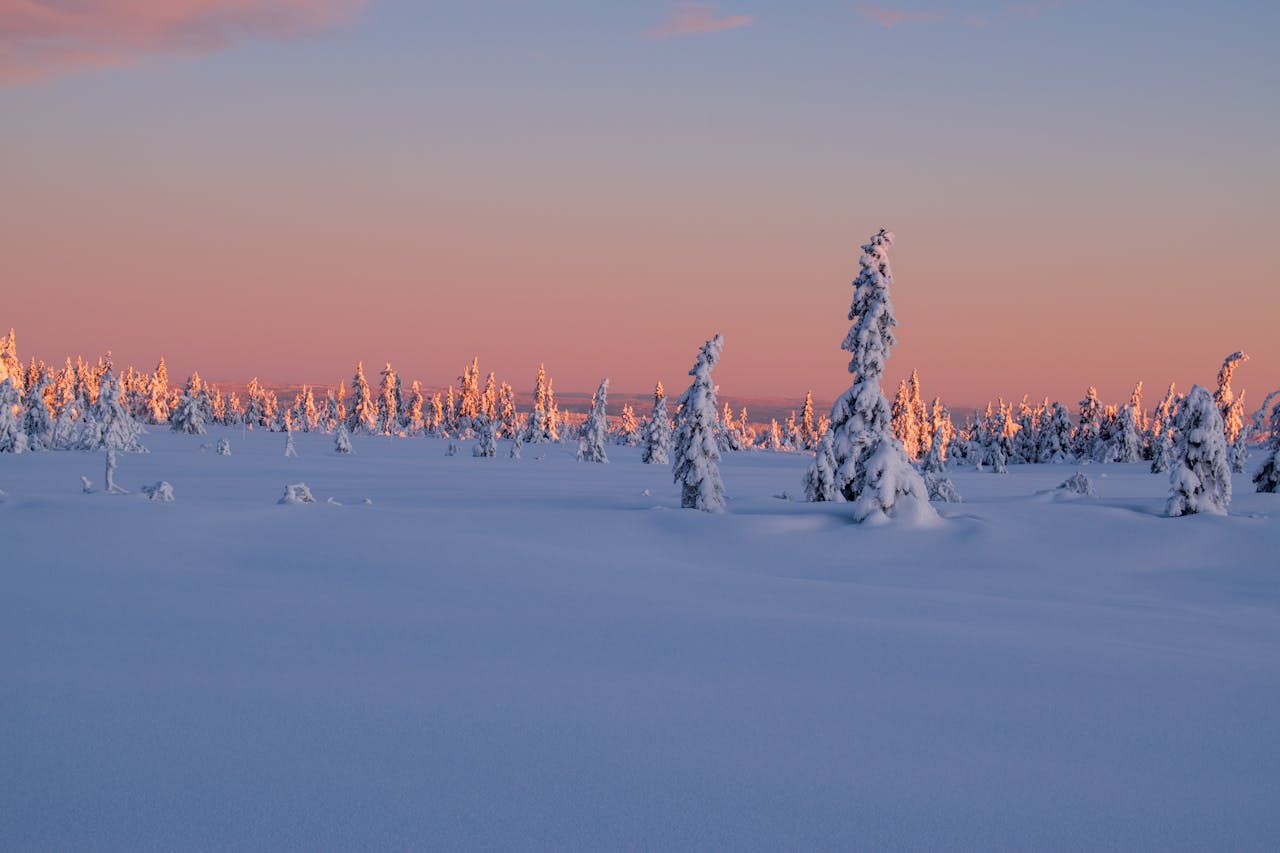 Traditional Sámi lavvu tent in a snow-covered landscape under a star-filled Arctic night sky
