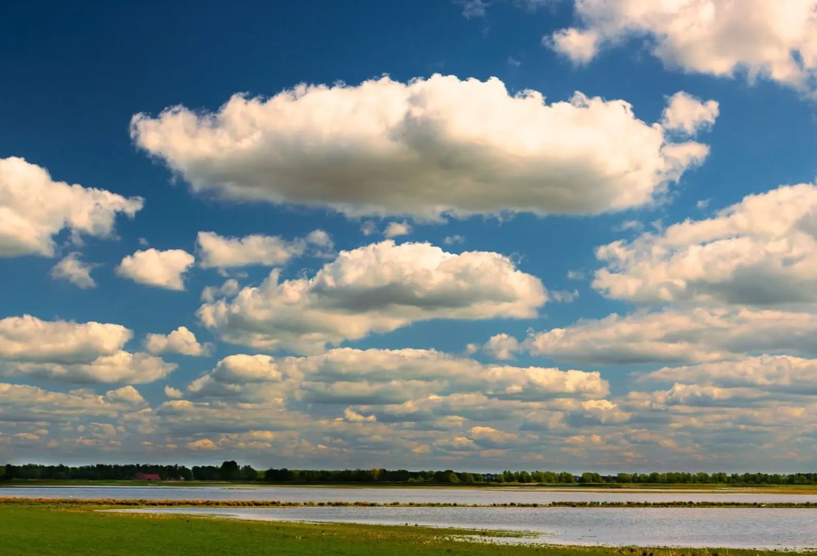flat, wet terrain with a blue sky and white clouds, Park De Biesbosch
