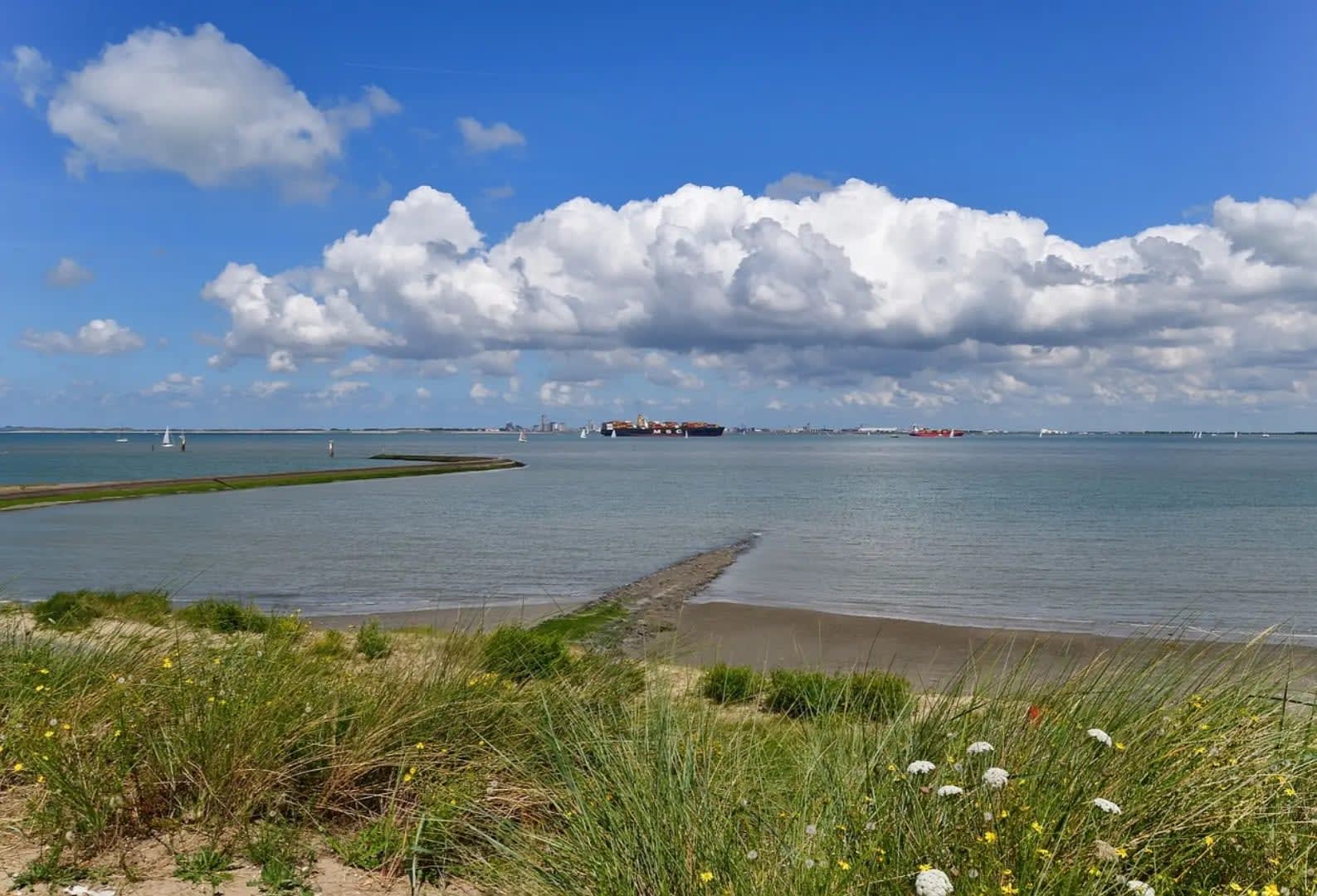 beach with a cargo ship in the background, Park Oosterschelde