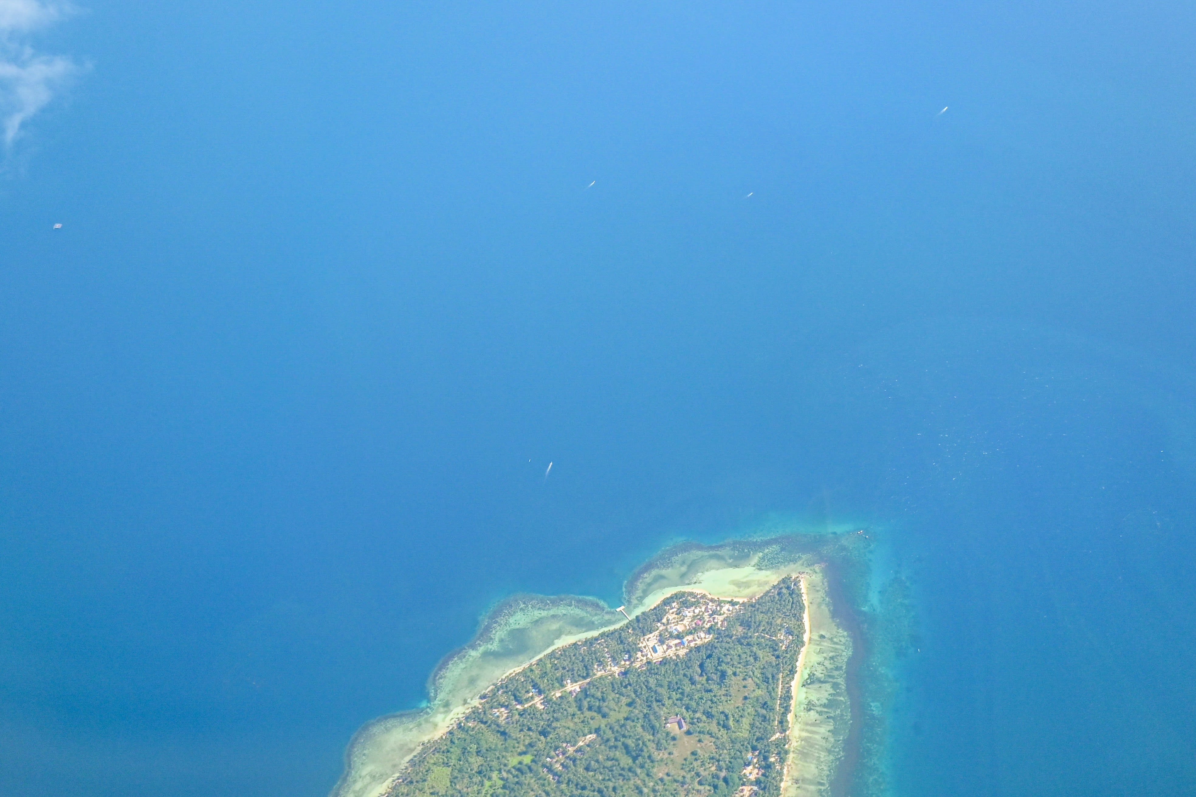 Discover Utila Island