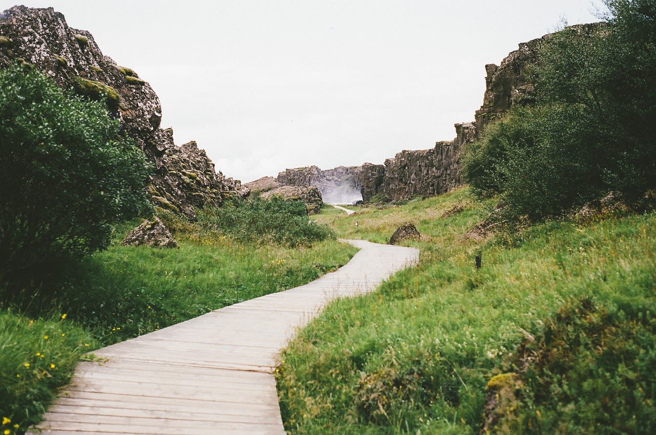 Autumn colours across Þingvellir National Park with the rift valley landscape below