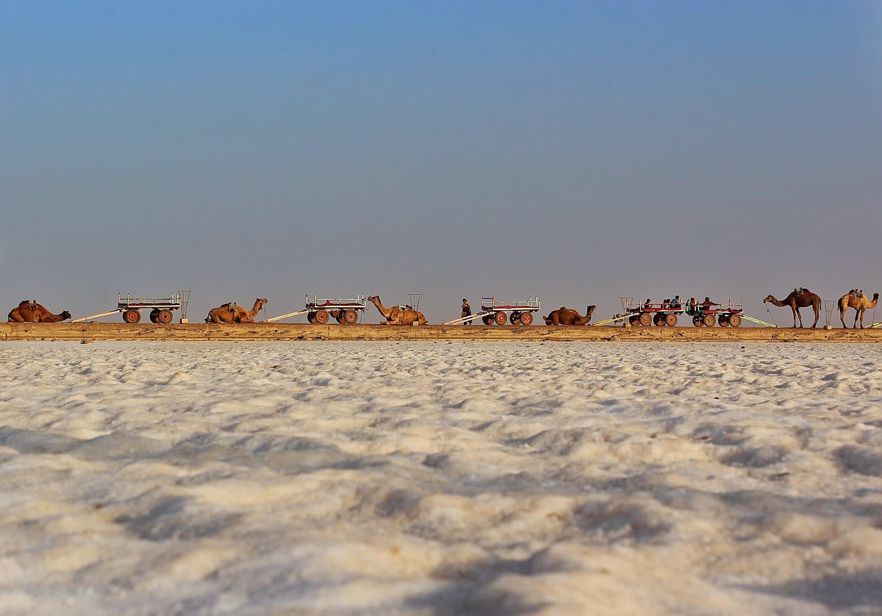 Rann Of Kutch landscape view 1