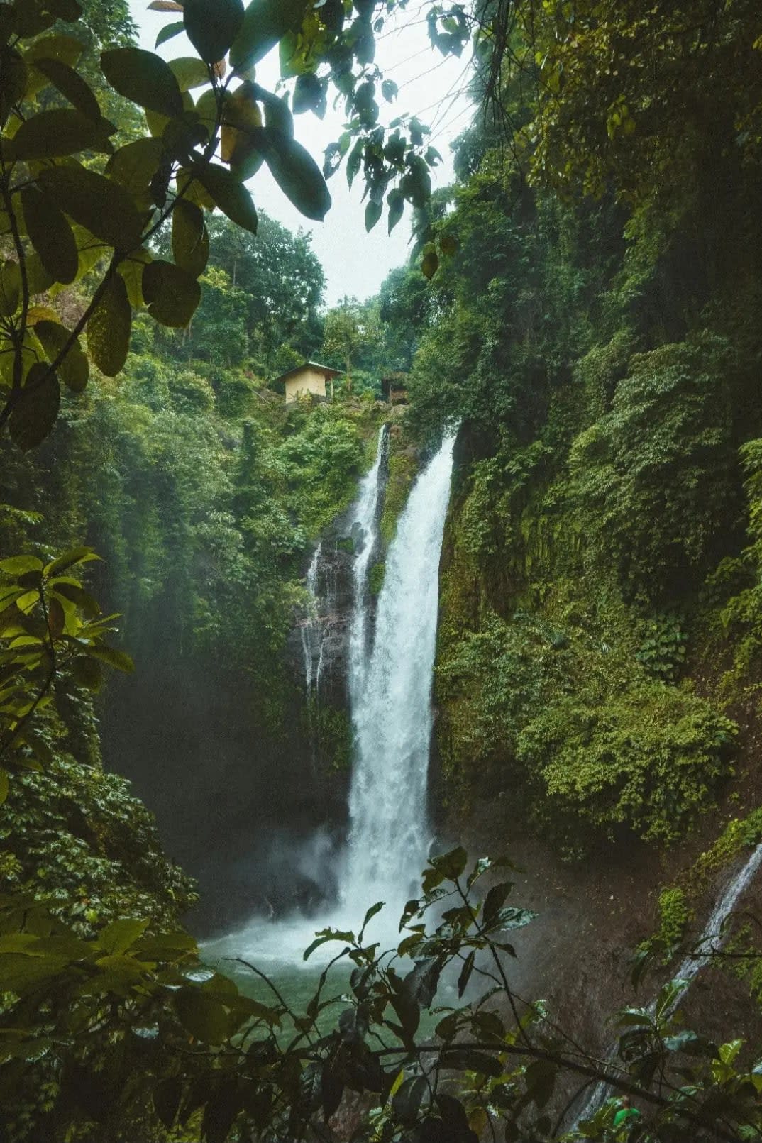 Waterfall surrounded by dense vegetation with a hut at the top, Bali