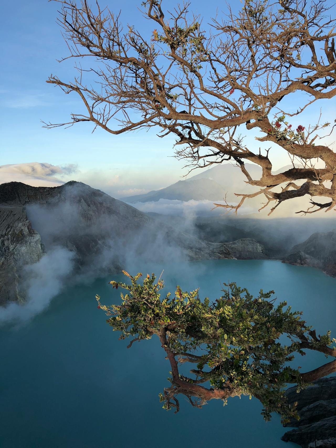 Turquoise acidic crater lake of Kawah Ijen volcano with sulfur-laden steam rising at dawn in Java Indonesia