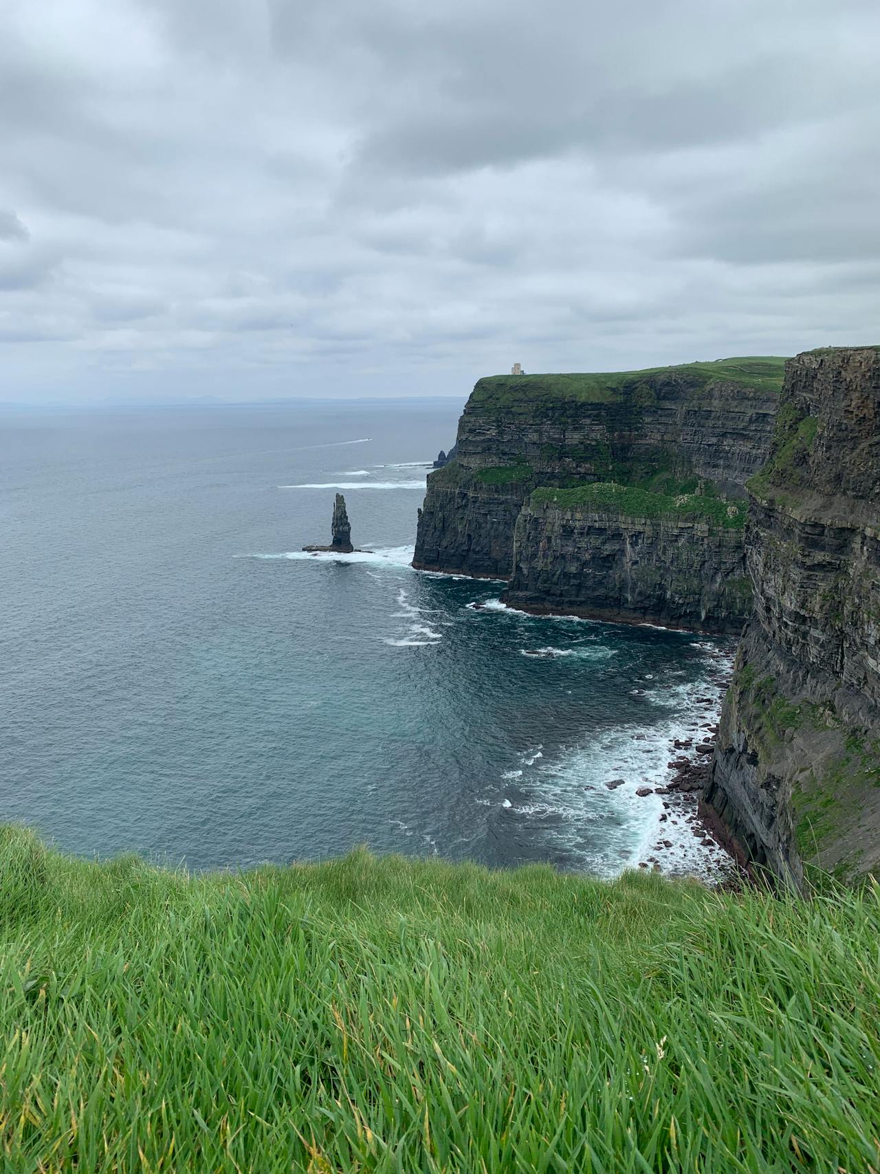 Thousands of seabirds nesting on the ledges of the Cliffs of Moher in County Clare Ireland