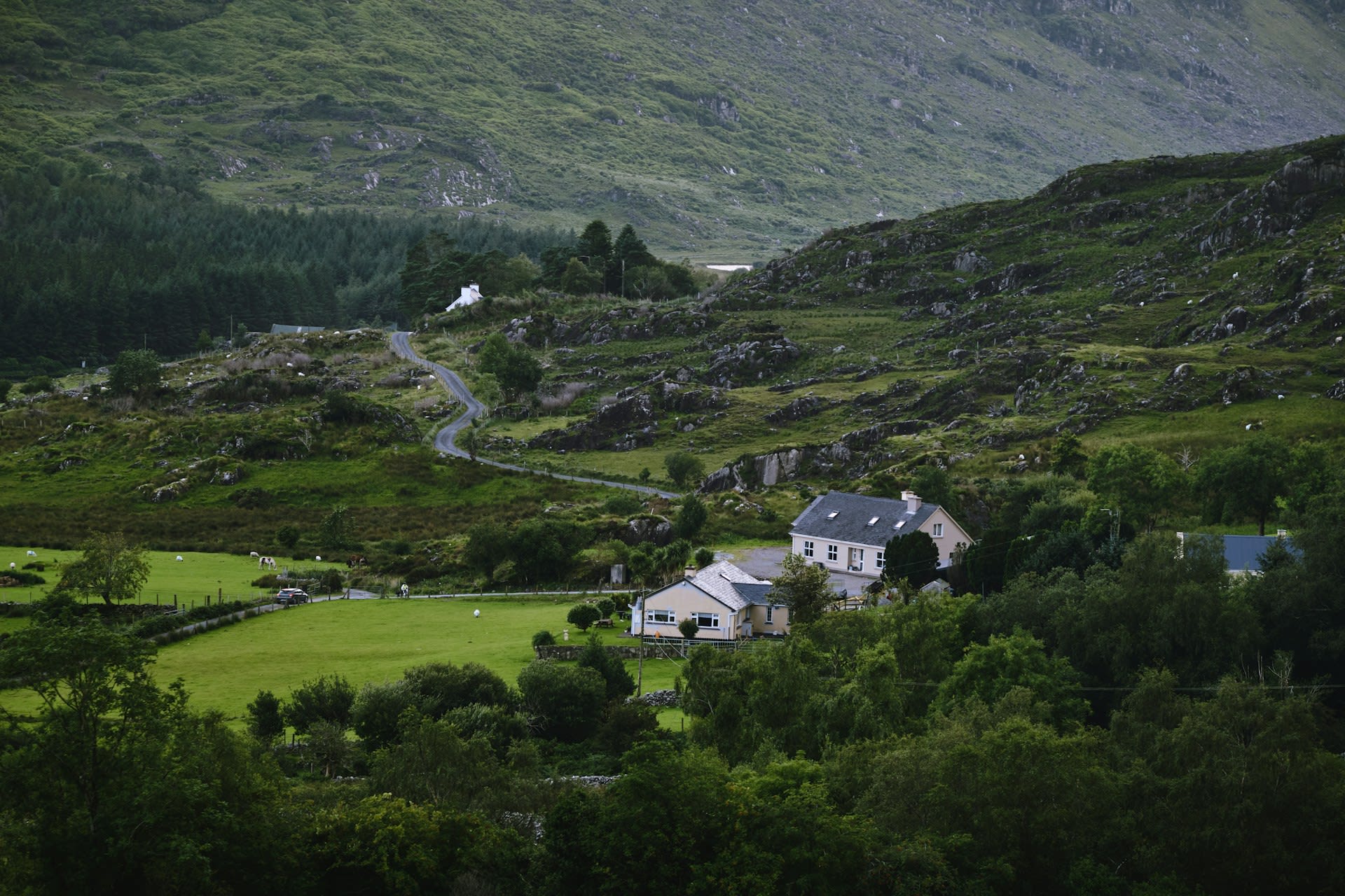 Coastal road of the Ring of Kerry with green hills meeting the Atlantic in County Kerry Ireland