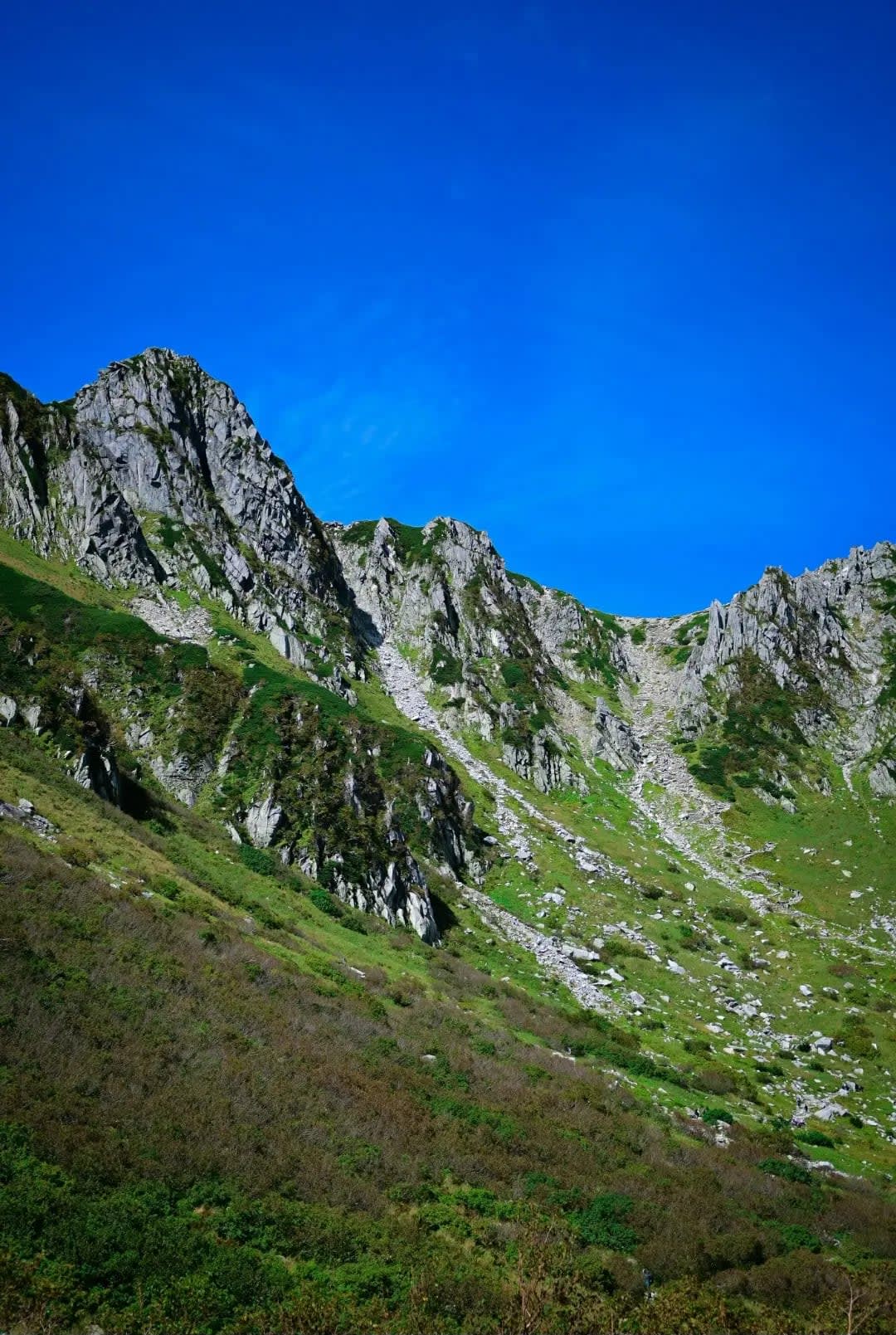  Daisetsuzan, rocky mountains with vegetation 