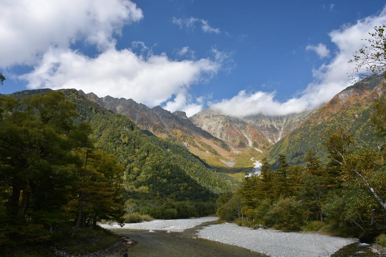 Autumn foliage of larch and birch forest along the Azusa River in Kamikochi with the Japanese Alps behind